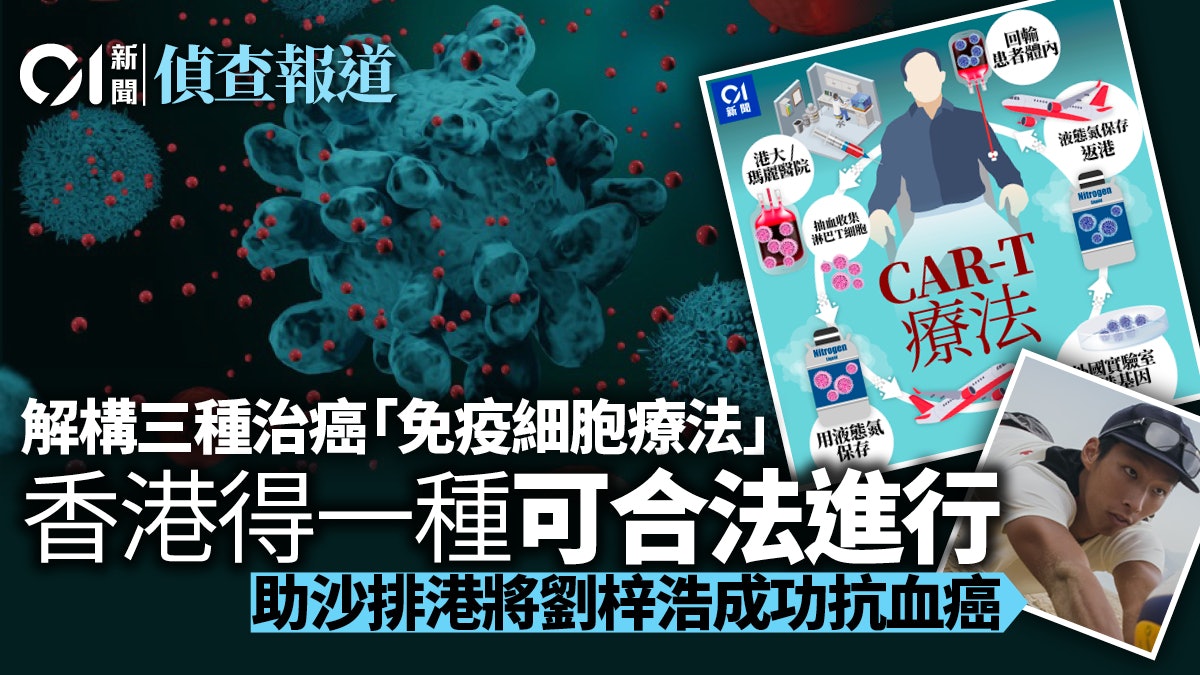 免疫細胞療法|解構NK、CIK、CAR-T療法 香港只有一種合法臨床 免疫細胞療法|解構NK、CIK、CAR-T療法 香港只有一種合法臨床