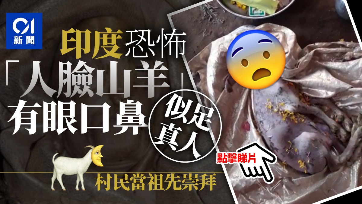 印度驚現恐怖人臉山羊眼口鼻似足真人居民插香膜拜 祖先化身 印度驚現恐怖人臉山羊眼口鼻似足真人居民插香膜拜 祖先化身