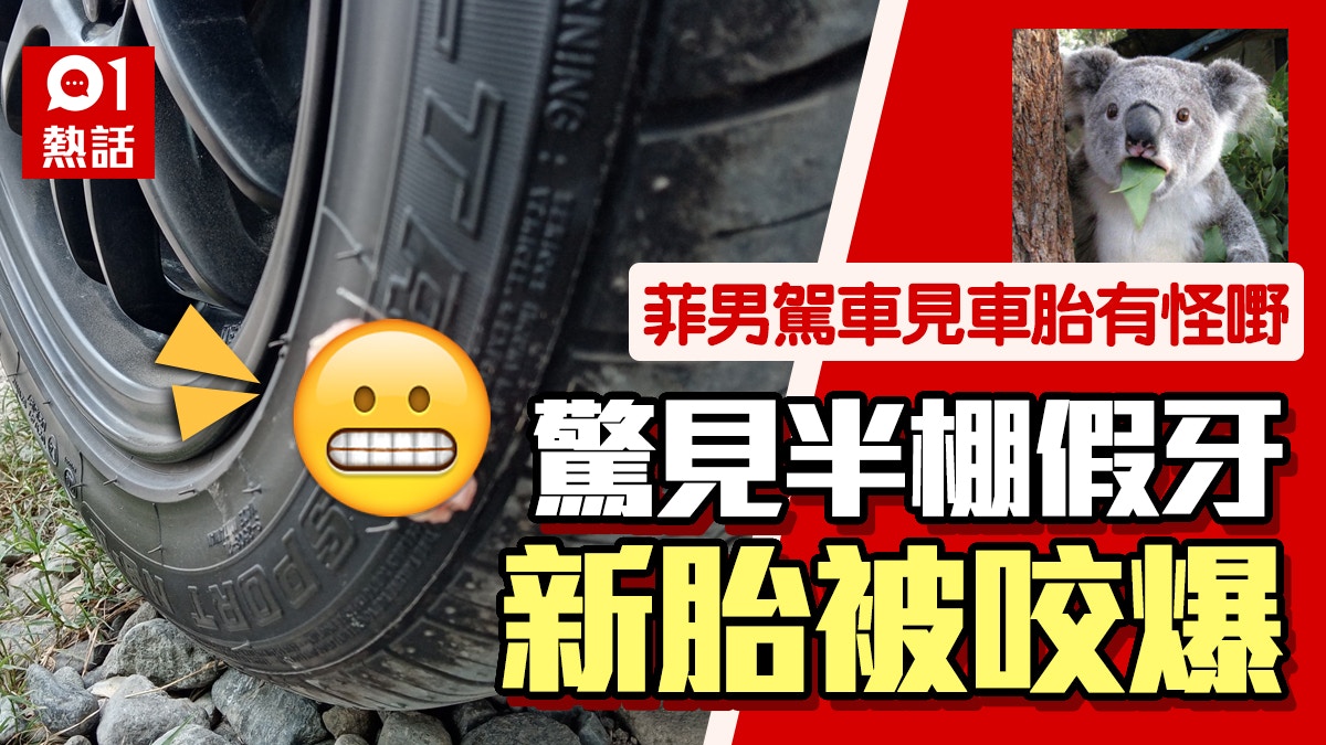 堅硬無比！菲男駕車輾過假牙　拔出竟爆胎報廢：難以置信地堅硬！