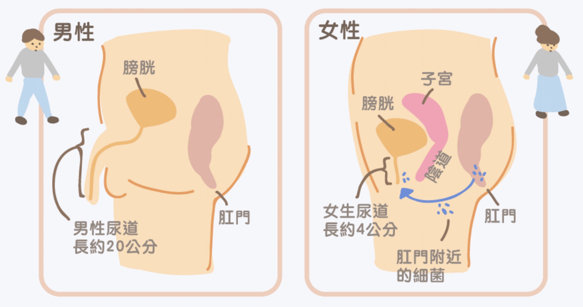 （圖片：bangli）