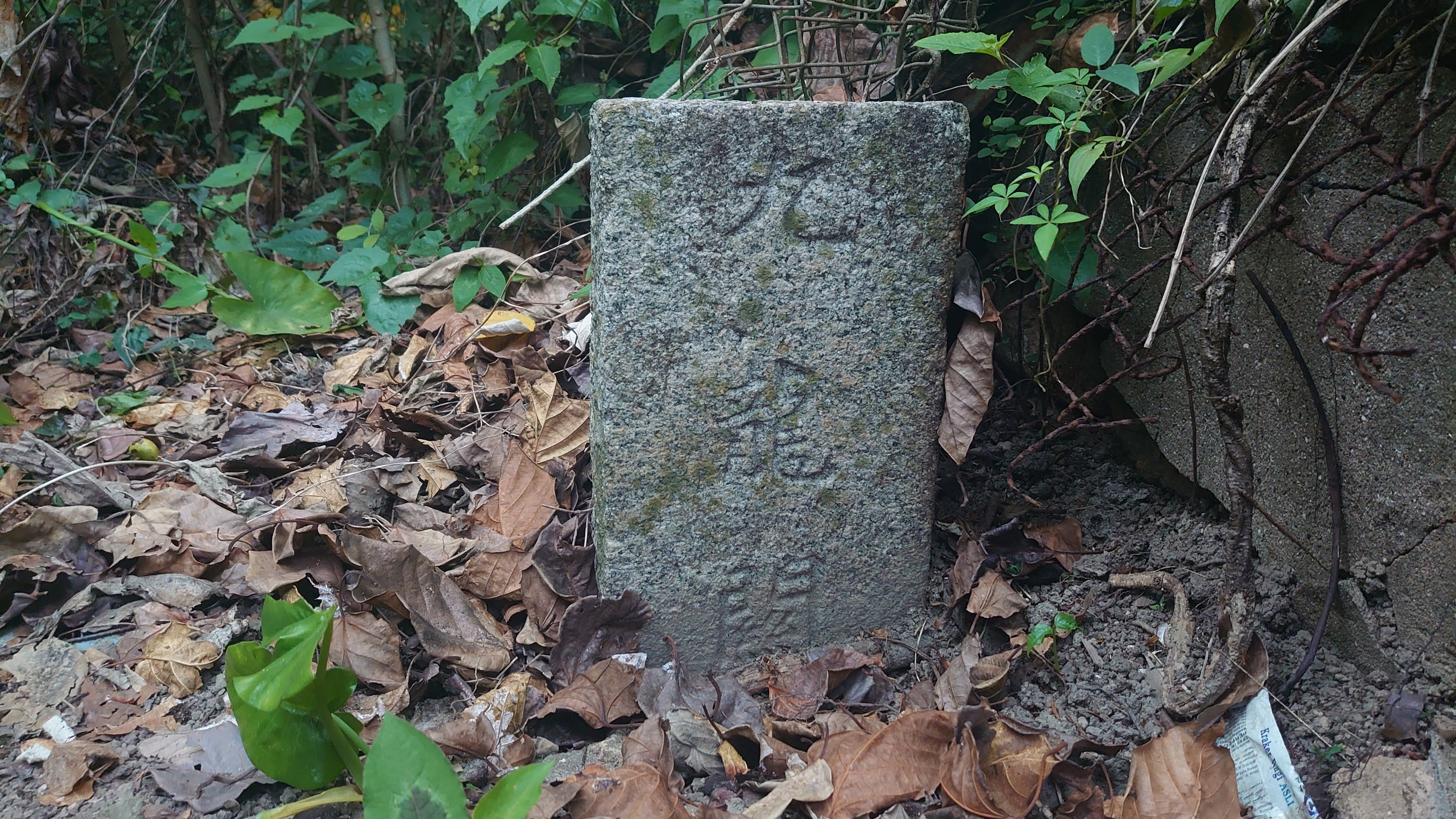 馬灣田寮村山坡新近再被發現的「九龍關」地界石