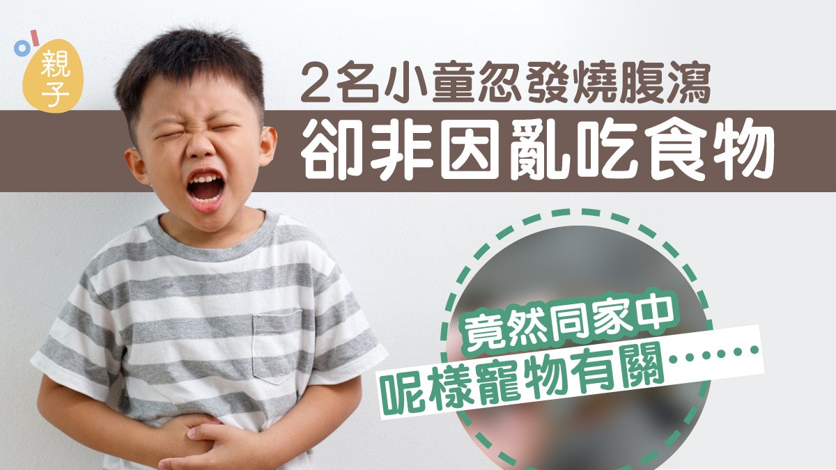 兩小童忽發燒腹瀉卻非因亂吃食物 經查探才知肇因與這寵物有關… 兩小童忽發燒腹瀉卻非因亂吃食物 經查探才知肇因與這寵物有關…