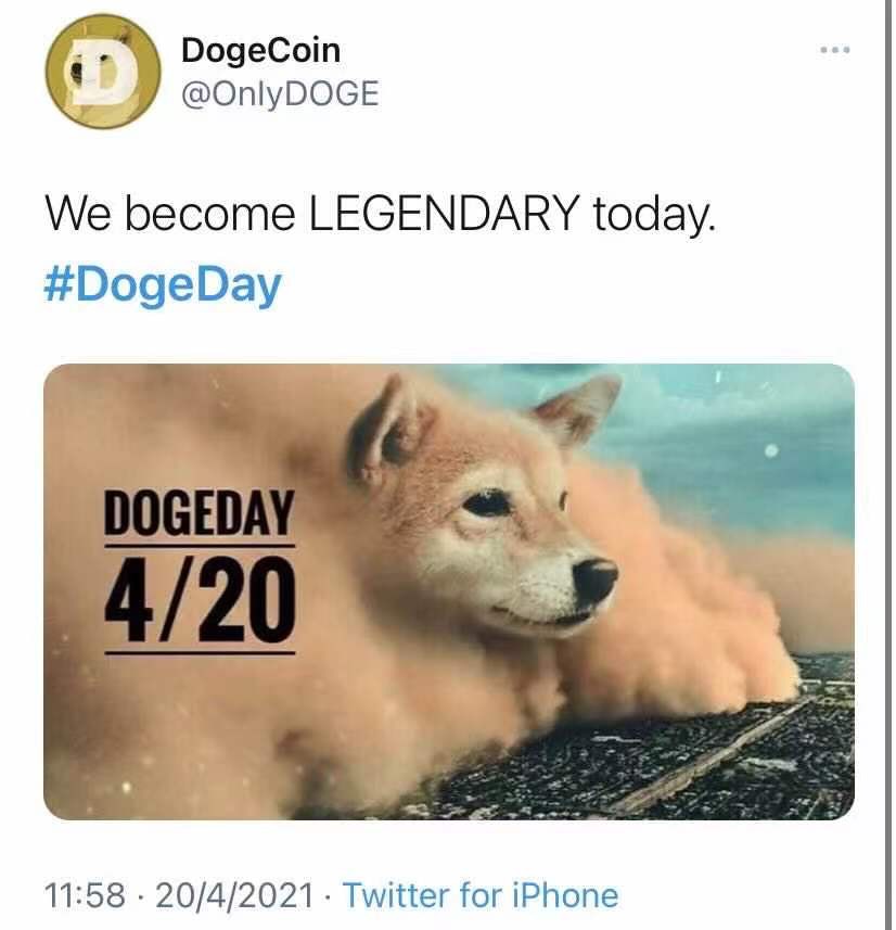 DogeDay狗狗日。（Twitter截圖）
