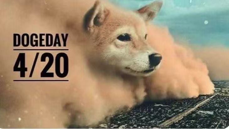 Dogecoin「狗狗日」表現完勝Bitcoin　成虛幣市場反彈王