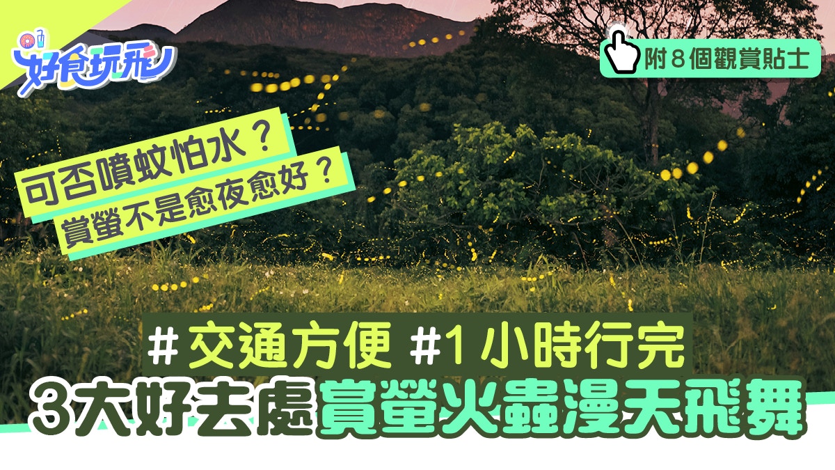 螢火蟲3大觀賞地點 沙螺洞最靚 大埔滘方便教你8個賞螢貼士 香港01 旅遊