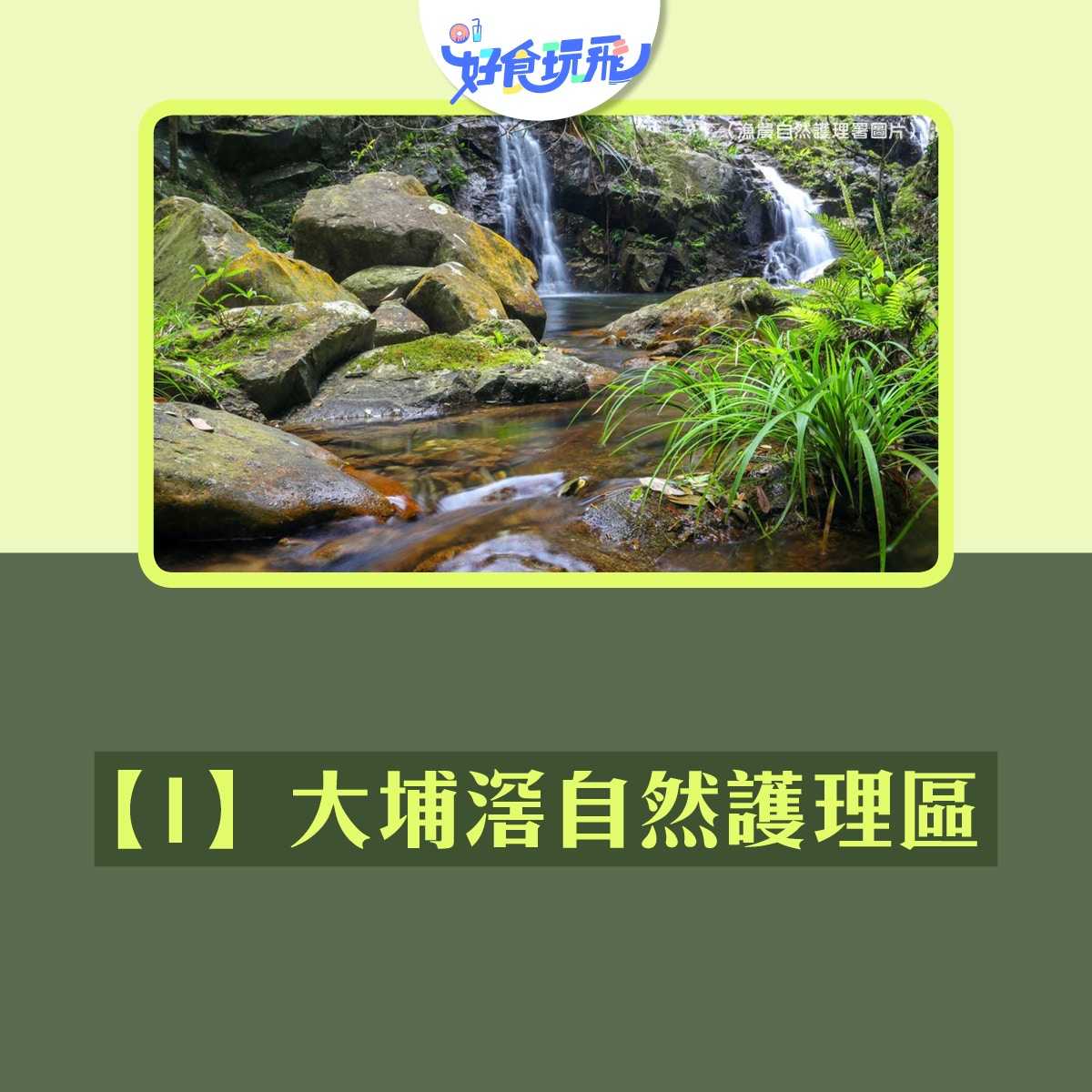 螢火蟲3大觀賞地點 沙螺洞最靚 大埔滘方便教你8個賞螢貼士 香港01 旅遊