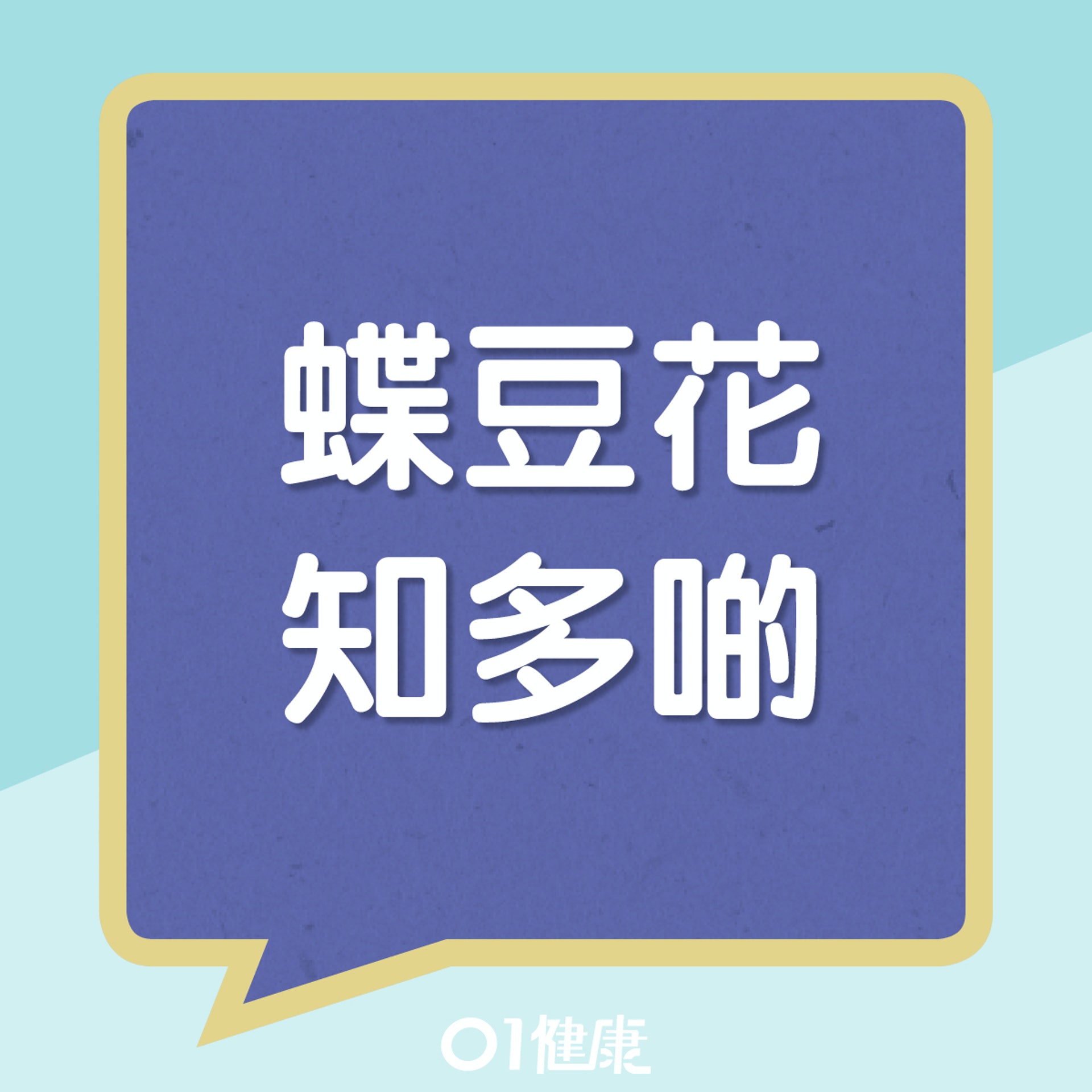蝶豆花知多啲(01製圖) 蝶豆花知多啲(01製圖)