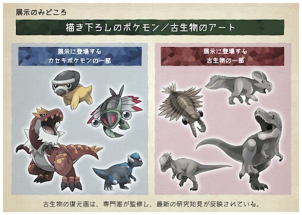 Pokemon公開化石小精靈原型秘密 化石博物館 巡迴展日本推出