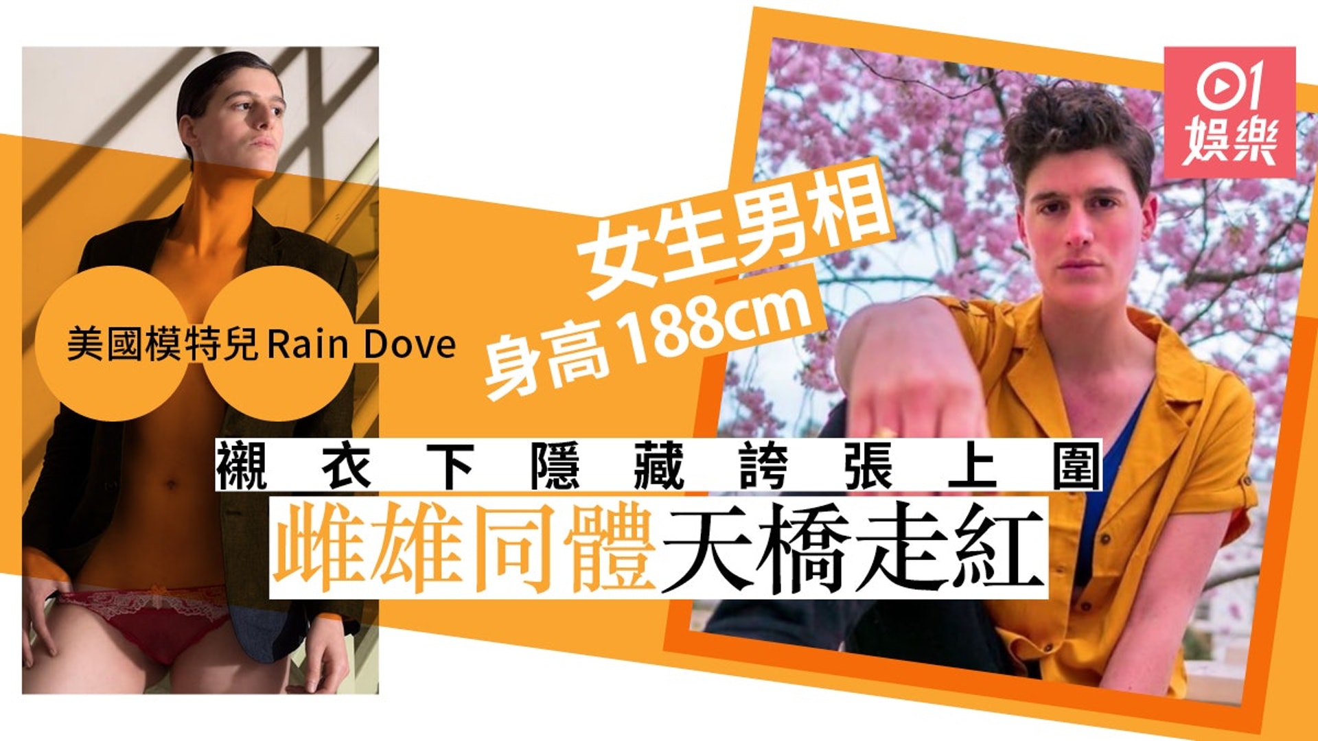 【延伸閱讀】美國模特兒雌雄同體 女兒身行男裝內褲騷走紅 【延伸閱讀】美國模特兒雌雄同體 女兒身行男裝內褲騷走紅