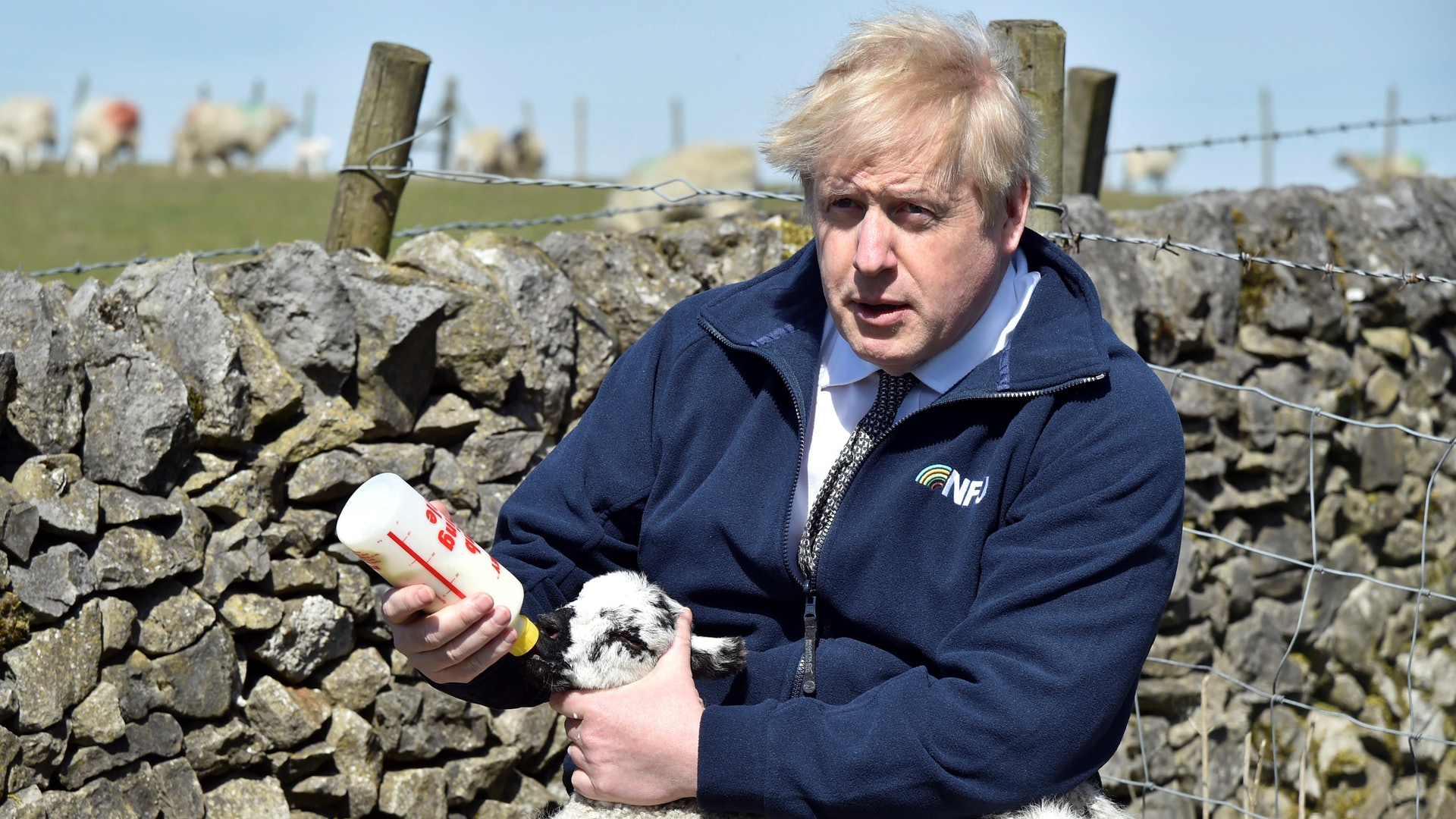 英國首相約翰遜:圖為4月23日,英國首相約翰遜到訪英格蘭一個農場,並親自餵小羊喝奶。(Reuters) 英國首相約翰遜:圖為4月23日,英國首相約翰遜到訪英格蘭一個農場,並親自餵小羊喝奶。(Reuters)