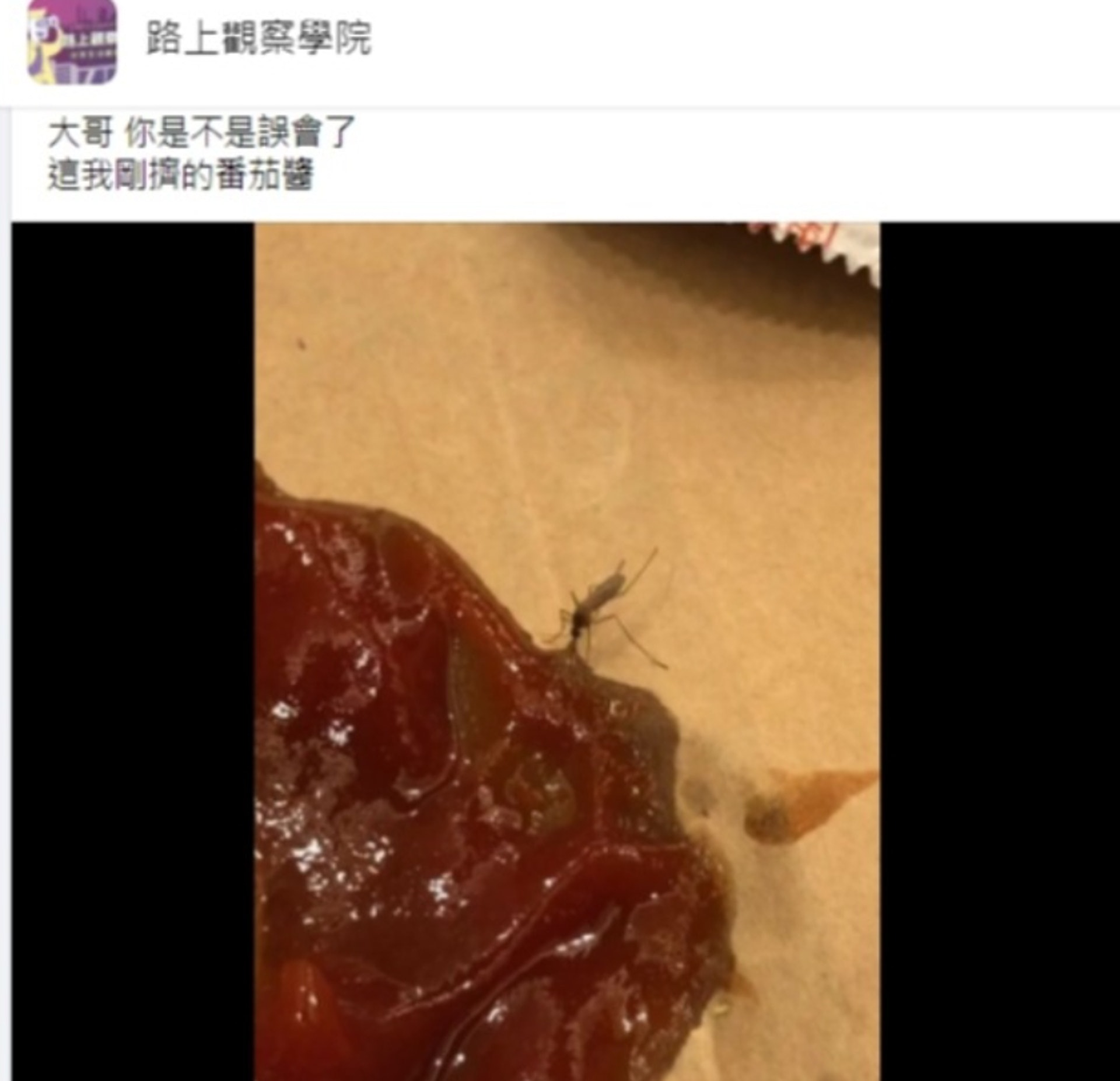 一隻蚊子疑似誤將茄汁當作血「埋頭苦吸」引起熱議。(Facebook@路上觀察學院) 一隻蚊子疑似誤將茄汁當作血「埋頭苦吸」引起熱議。(Facebook@路上觀察學院)