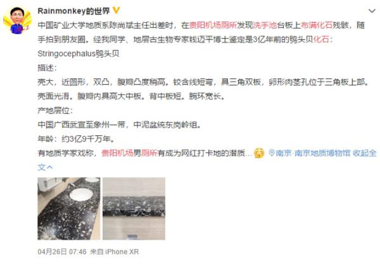 據微博用戶發文稱,陳尚斌當時發現了化石殘骸後,隨手就照相發到朋友圈。(微博) 據微博用戶發文稱,陳尚斌當時發現了化石殘骸後,隨手就照相發到朋友圈。(微博)