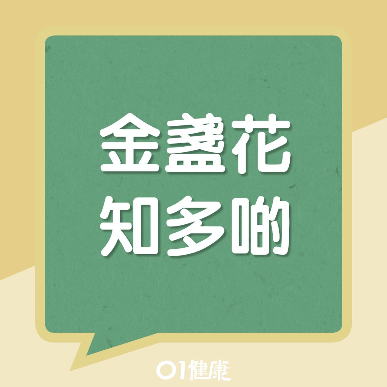 金盞花知多啲(01製圖) 金盞花知多啲(01製圖)