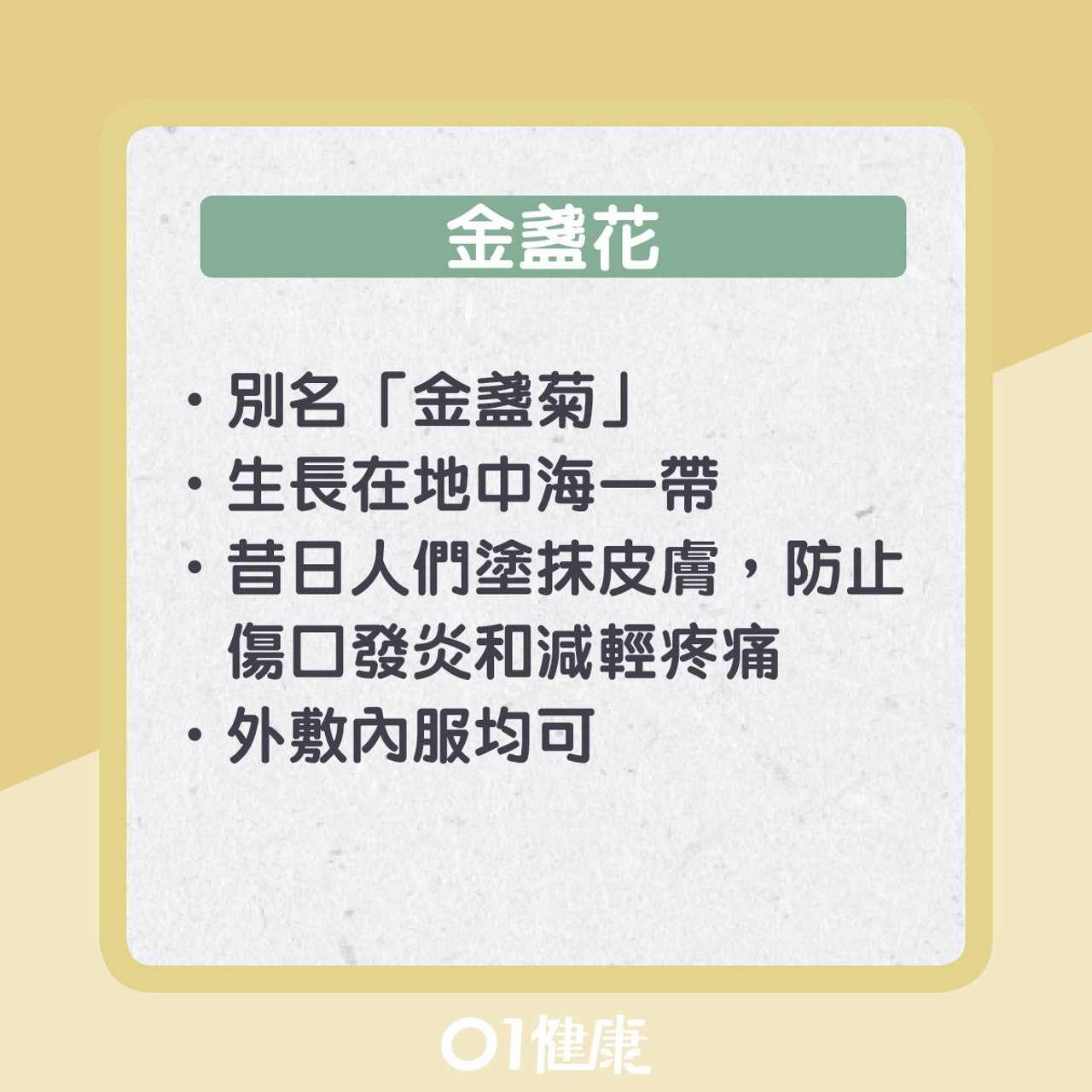 金盞花知多啲(01製圖) 金盞花知多啲(01製圖)