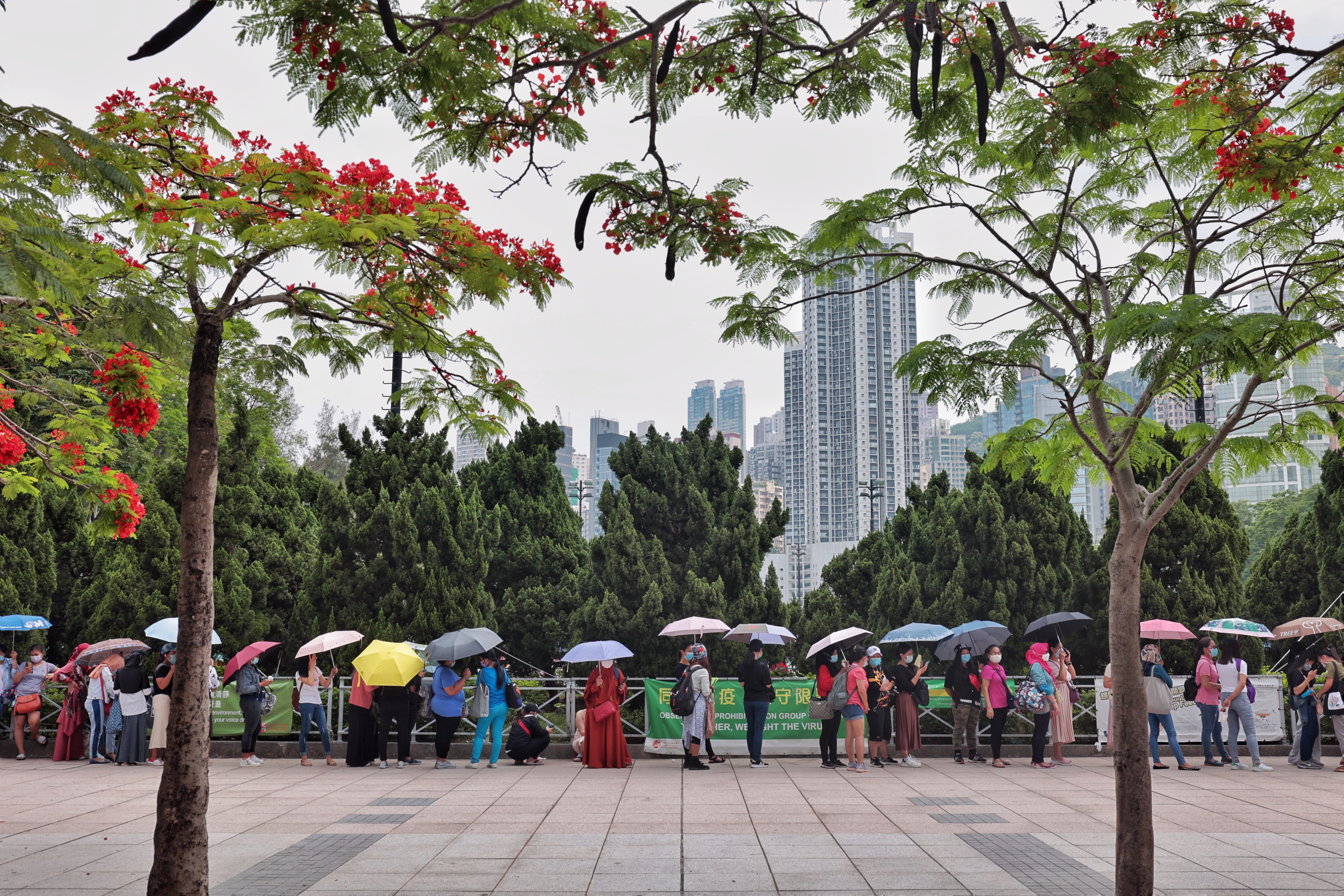 政府要求外傭強制檢測，5月2日(周日)逾千名外傭到維園排隊檢測。（李澤彤攝）