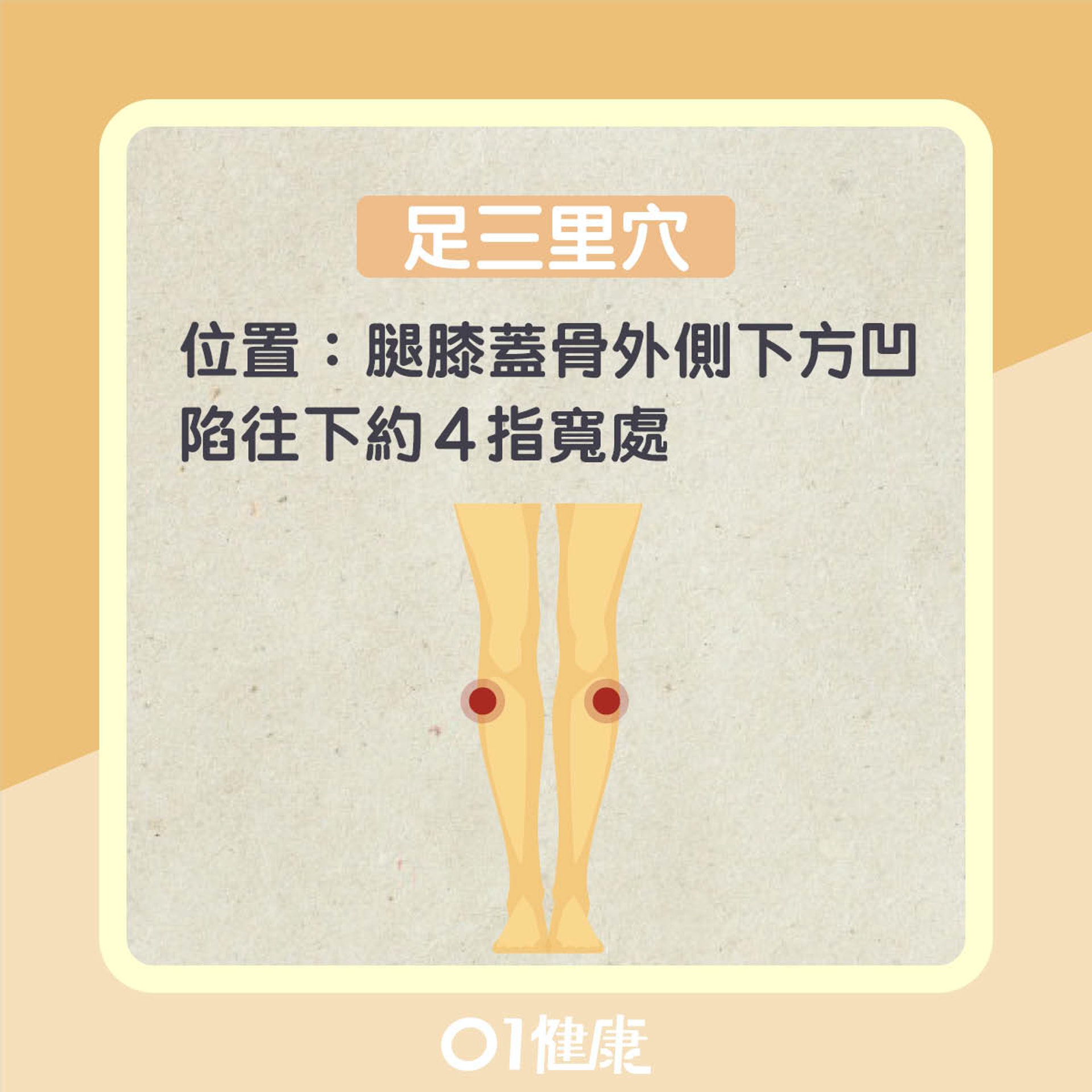 改善腸胃問題穴位(01健康) 改善腸胃問題穴位(01健康)