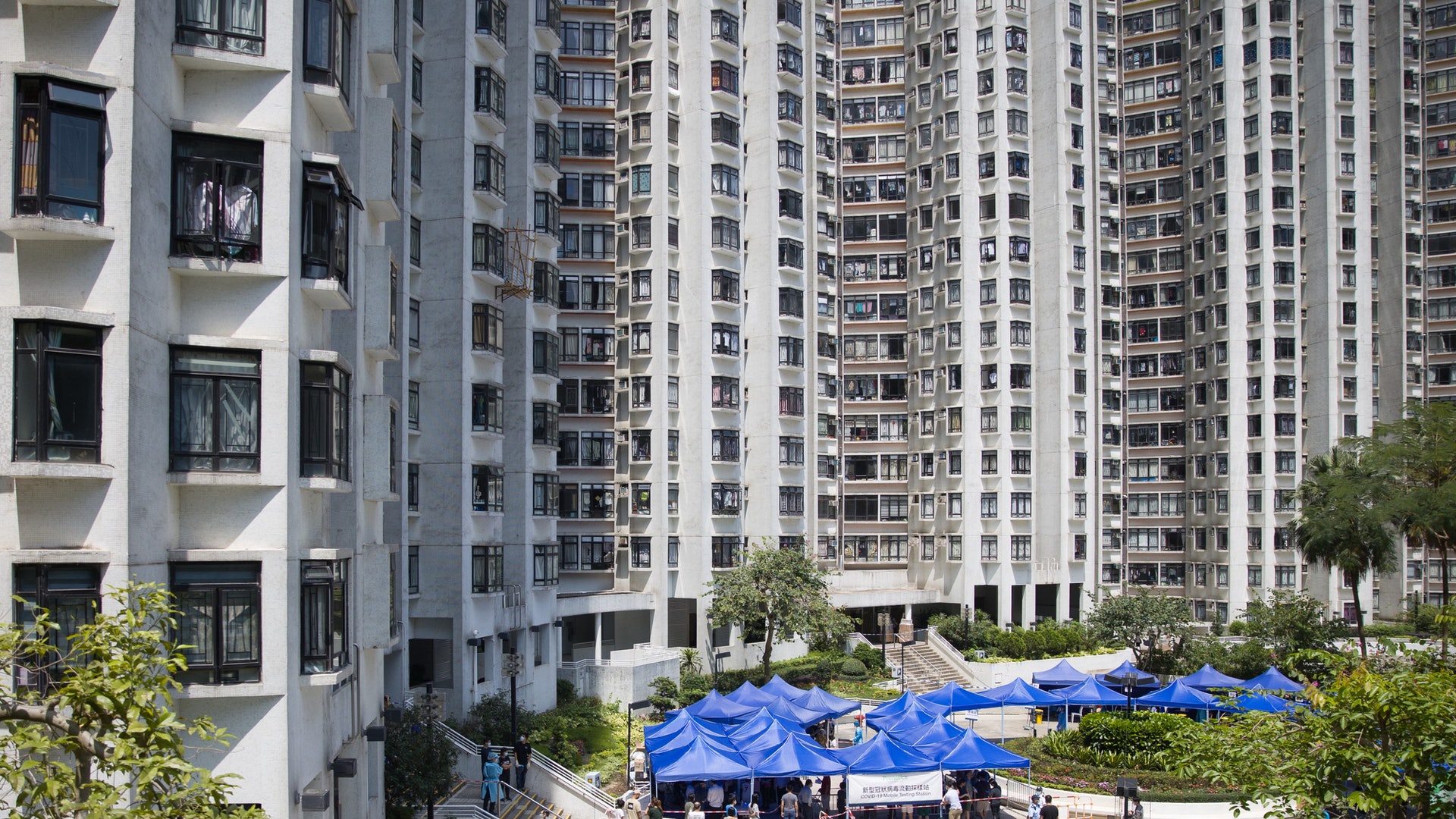 變種病毒|康怡花園N2座460名住戶完成檢測 全部呈陰性零確診 變種病毒|康怡花園N2座460名住戶完成檢測 全部呈陰性零確診