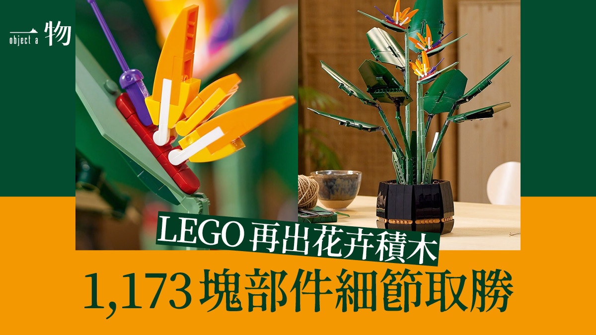 Lego 繼大熱花卉系列後天堂鳥植物積木勢成下一個必搶設計