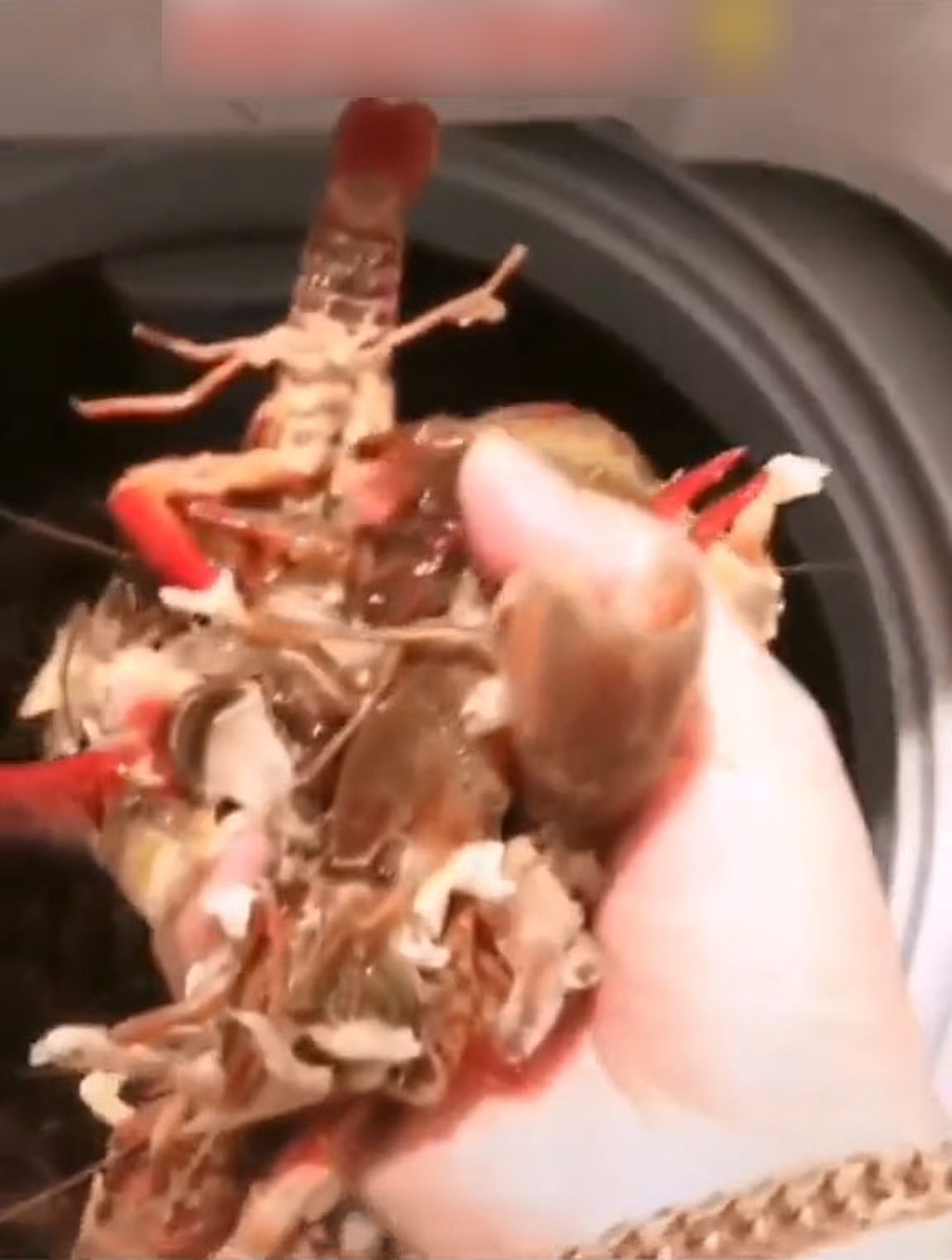 女子打開洗衣機蓋發現小龍蝦盡變蝦殼，呼籲網民別輕信抖音影片，最後她出門再買慢慢手洗。（微博影片截圖）