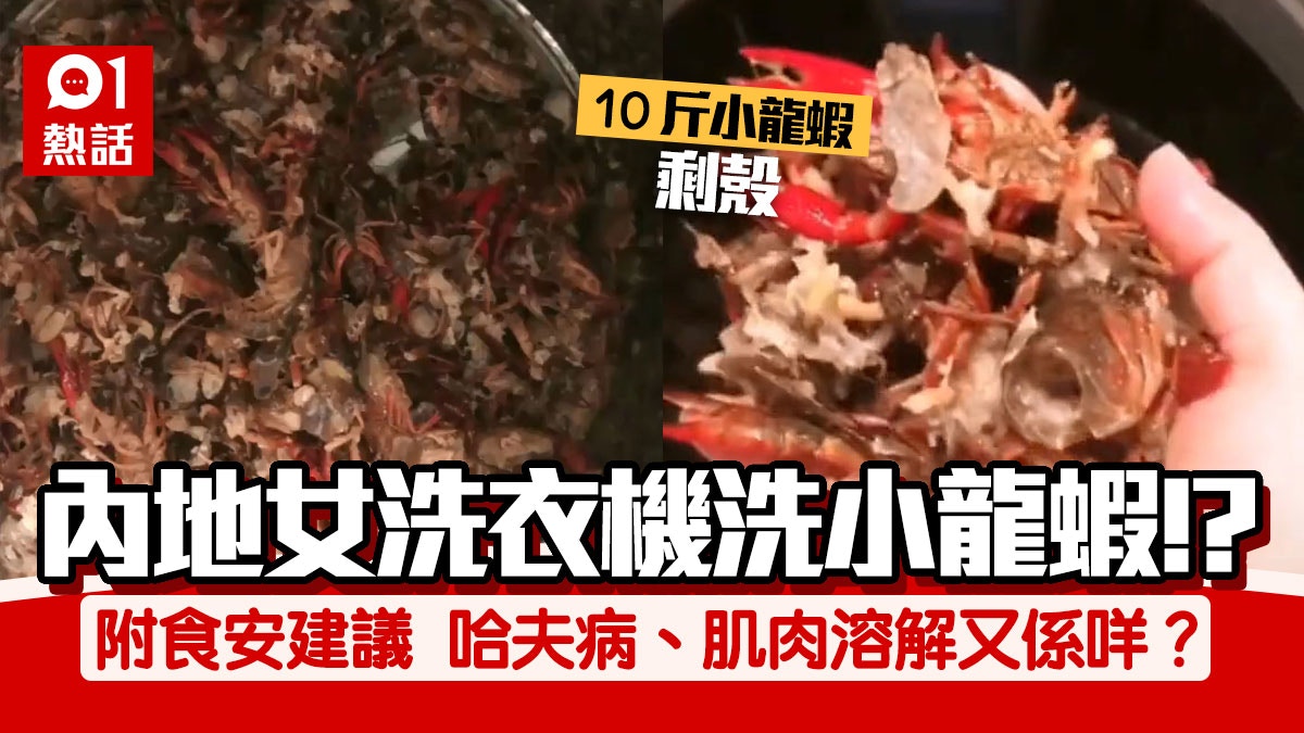 內地女信抖音片洗衣機洗10斤小龍蝦　結果變蝦碎　網民擔心呢樣嘢