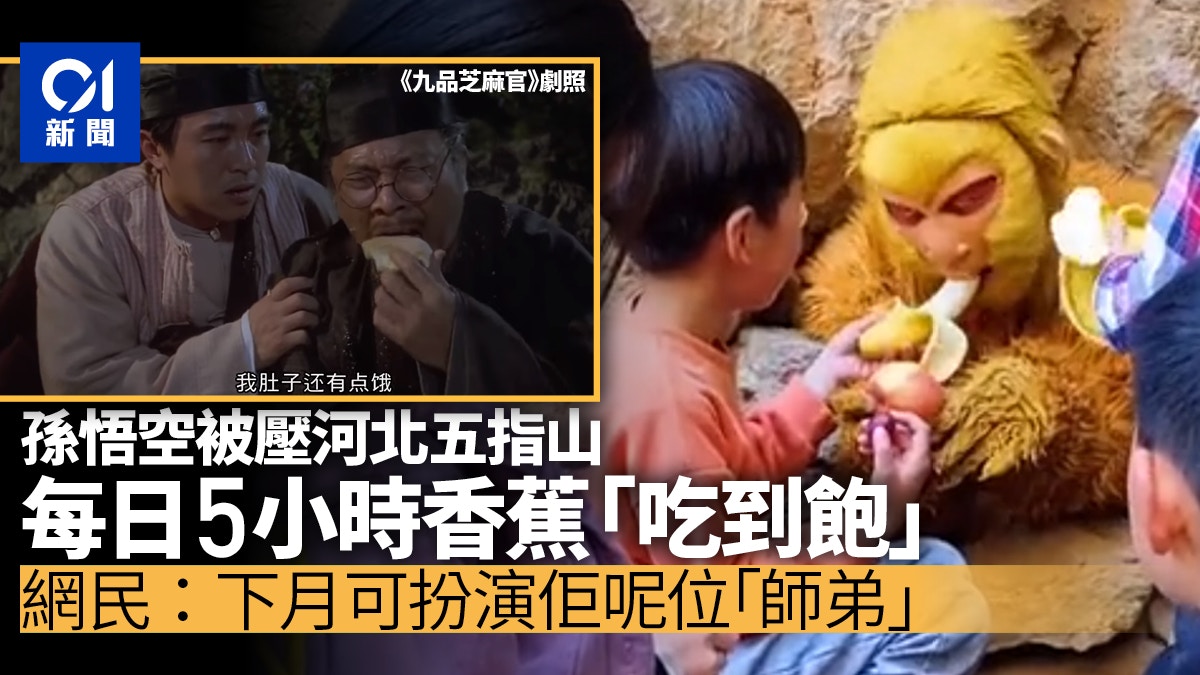 河北五指山景區員工扮孫悟空供遊客餵食　網民：這就是理想工作