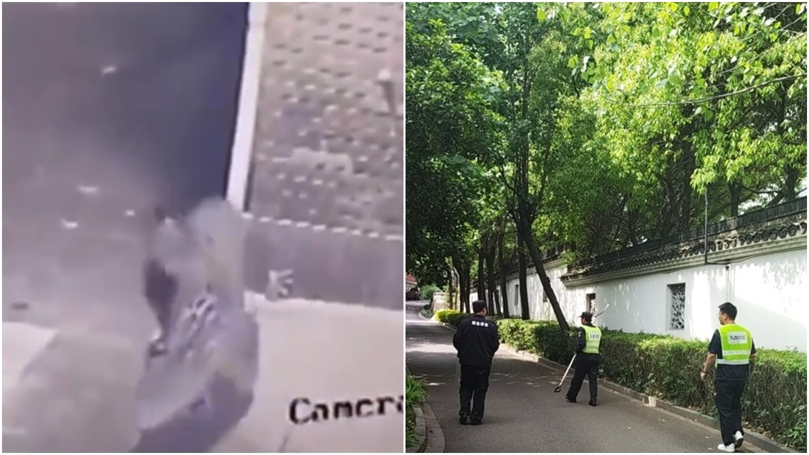 杭州3隻外逃金錢豹已尋回2隻 動物園致歉承認未及時公布 杭州3隻外逃金錢豹已尋回2隻 動物園致歉承認未及時公布
