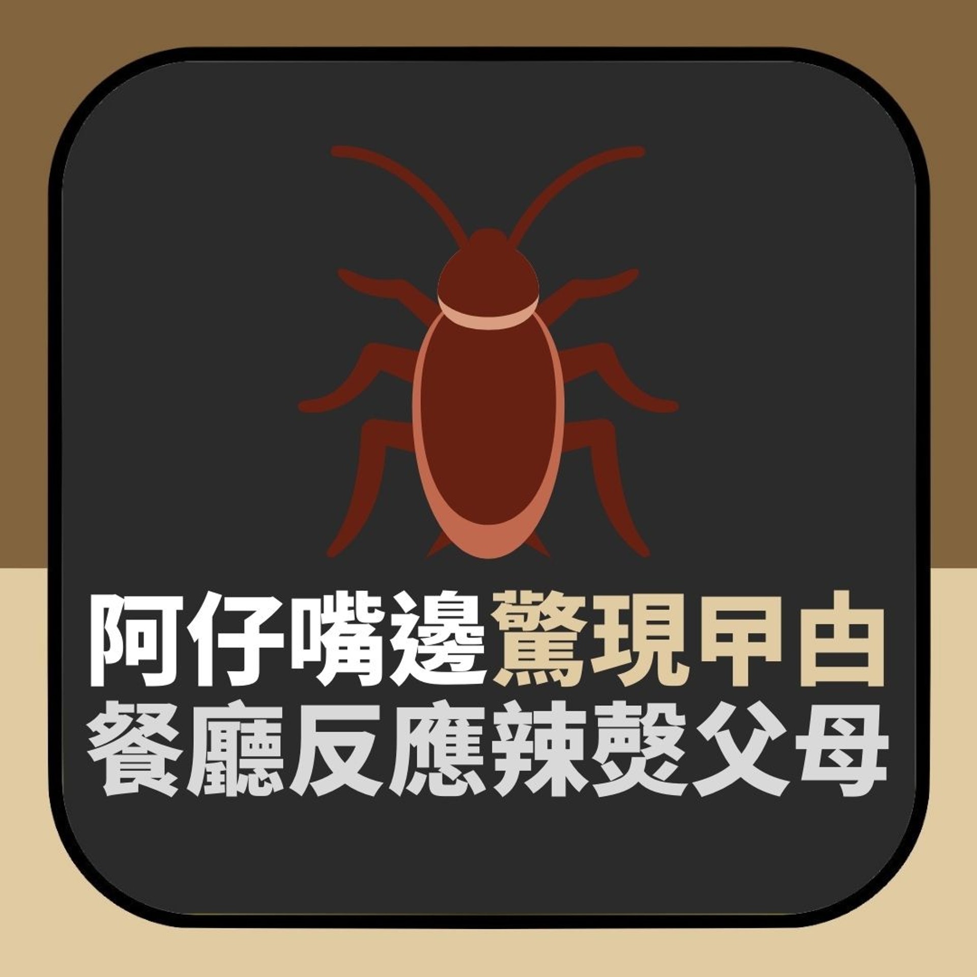 【台灣餐廳食嘢曱甴突然停阿仔嘴邊 店方反應激爆父母】(01製圖) 【台灣餐廳食嘢曱甴突然停阿仔嘴邊 店方反應激爆父母】(01製圖)