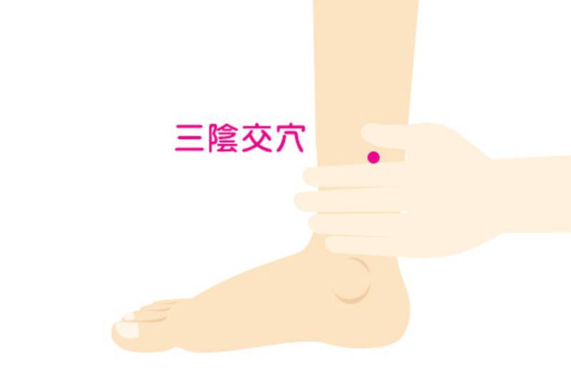 刺激「三陰交穴」有助活血化瘀,除了能預防一般婦女疾病,更可滋陰養顏。(圖片:today.line) 刺激「三陰交穴」有助活血化瘀,除了能預防一般婦女疾病,更可滋陰養顏。(圖片:today.line)