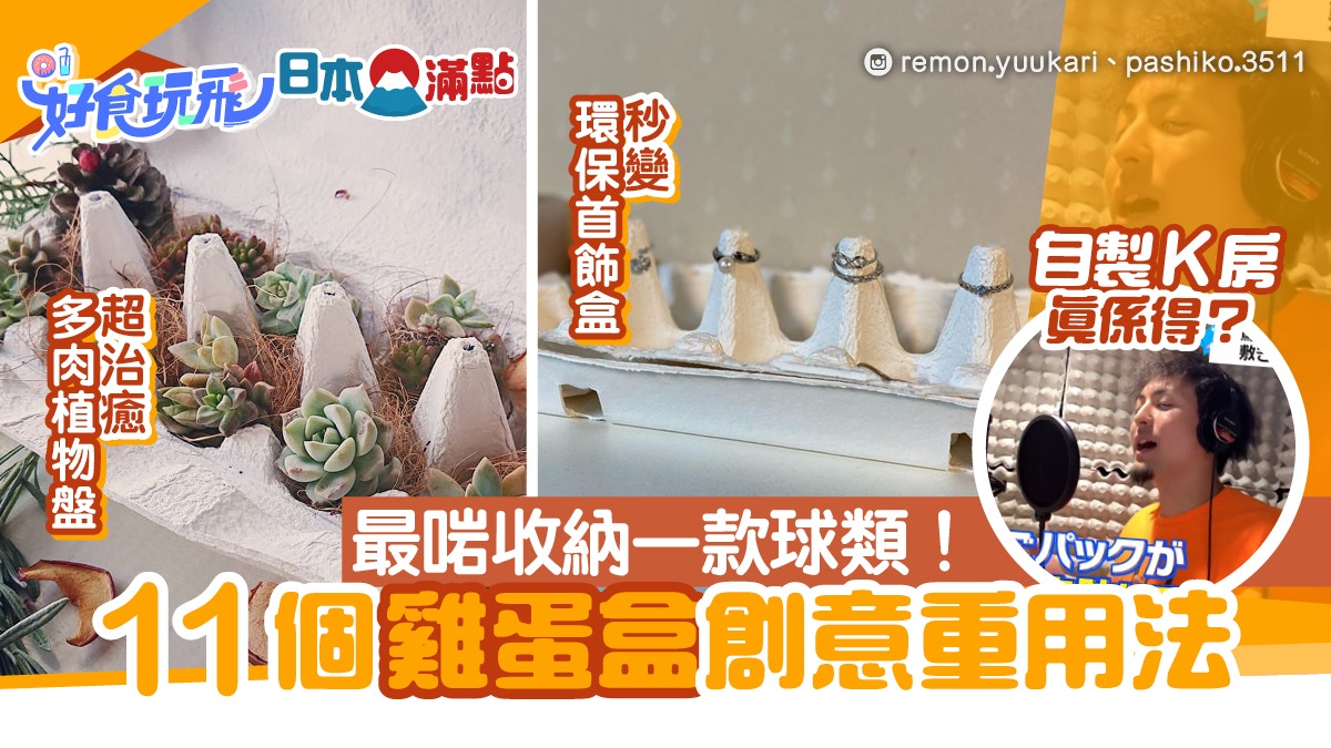 日本創意｜雞蛋盒11種用法　可收納可種花　自製隔音K房真係得？