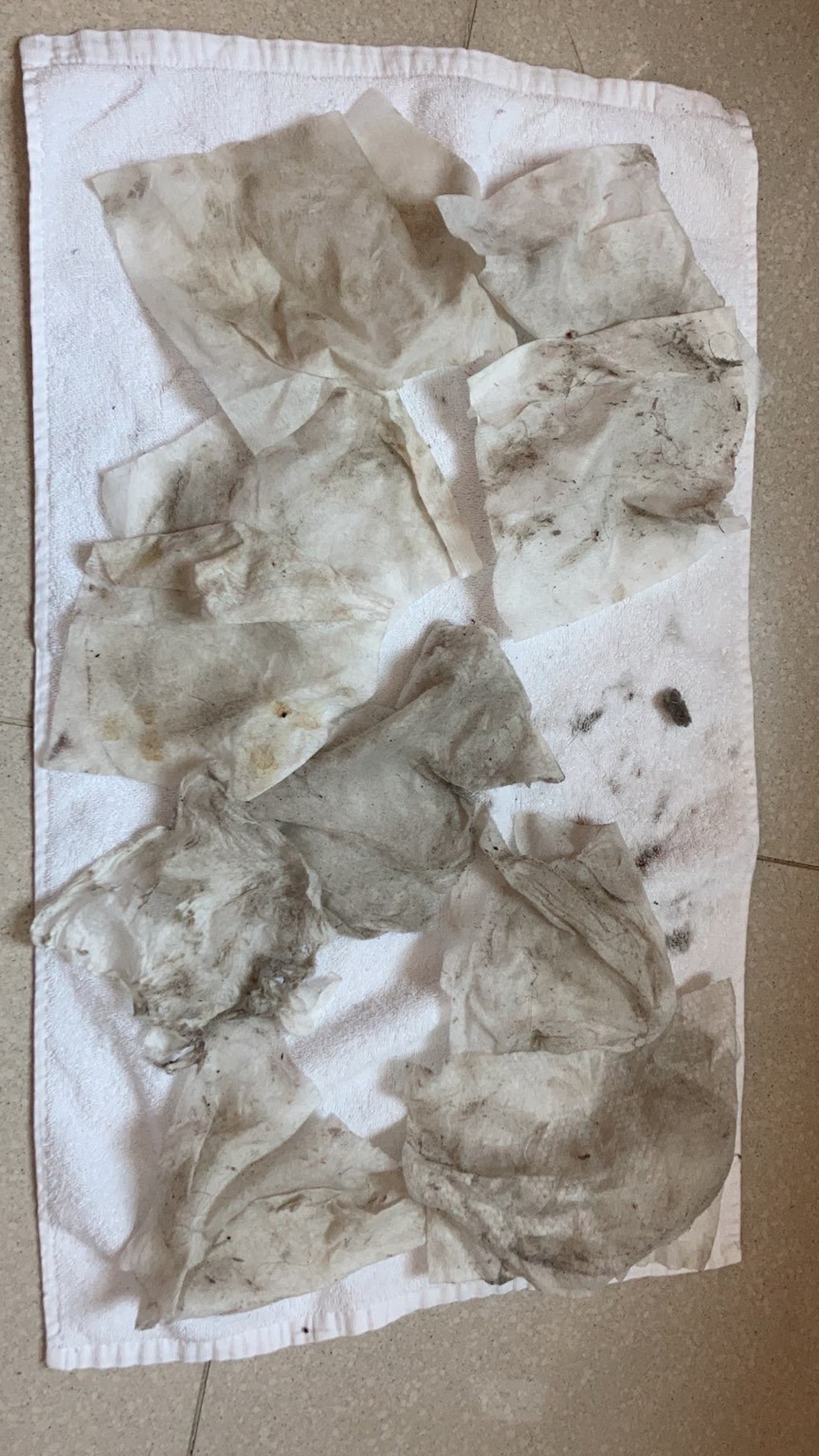 余太說,青衣華逸酒店房間衞生情況欠佳,如沒人清潔。(受訪者提供) 余太說,青衣華逸酒店房間衞生情況欠佳,如沒人清潔。(受訪者提供)