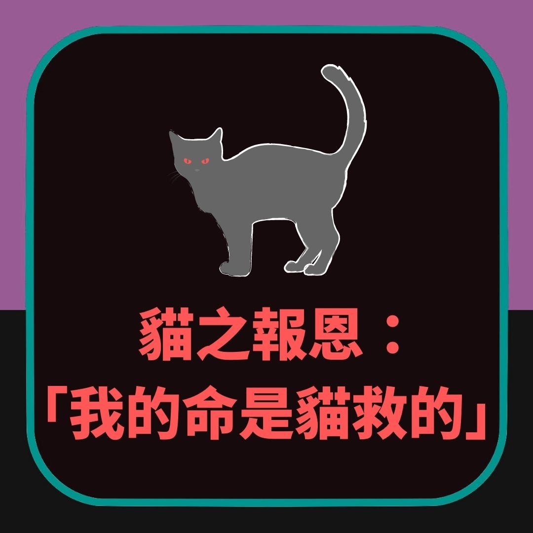 【貓之報恩的故事】（01製圖）