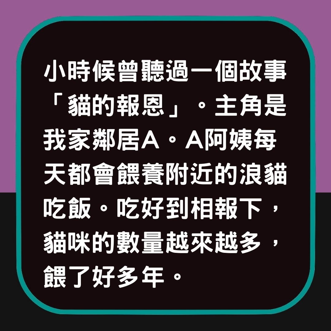 【貓之報恩的故事】（01製圖）