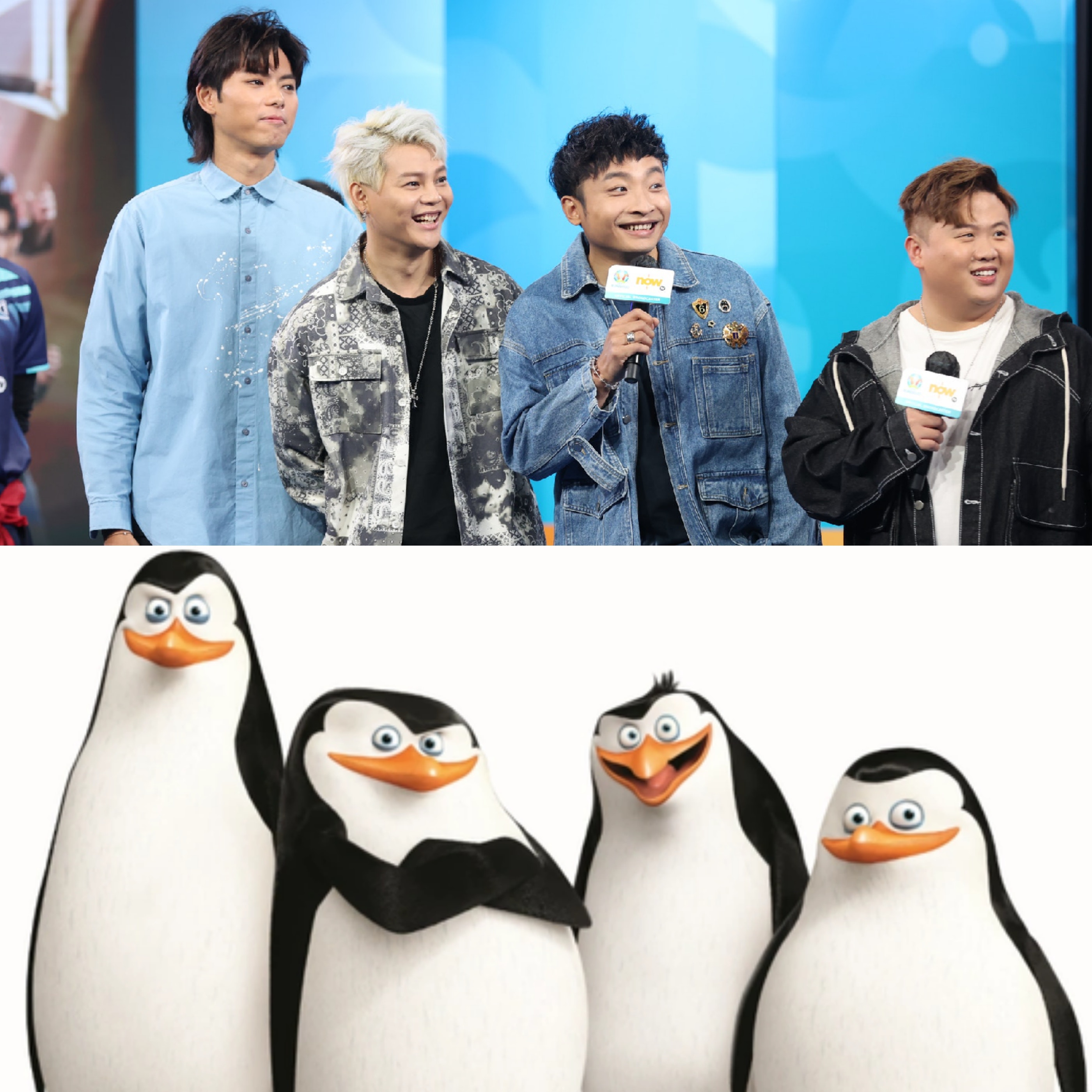 ERROR四子同荒失失企鵝一樣樣網民爆笑：連高矮肥瘦都一樣