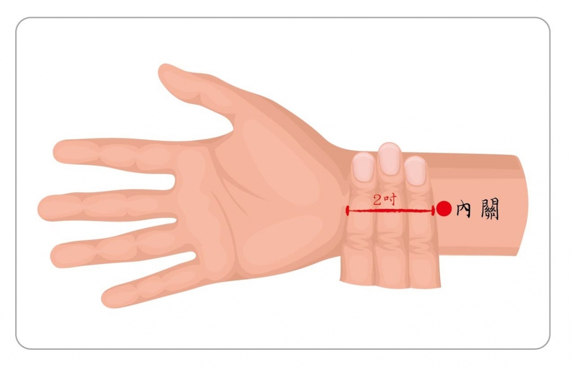 從腕橫紋向上量度三隻手指，便是「內關穴」。（圖片：qaxnl）