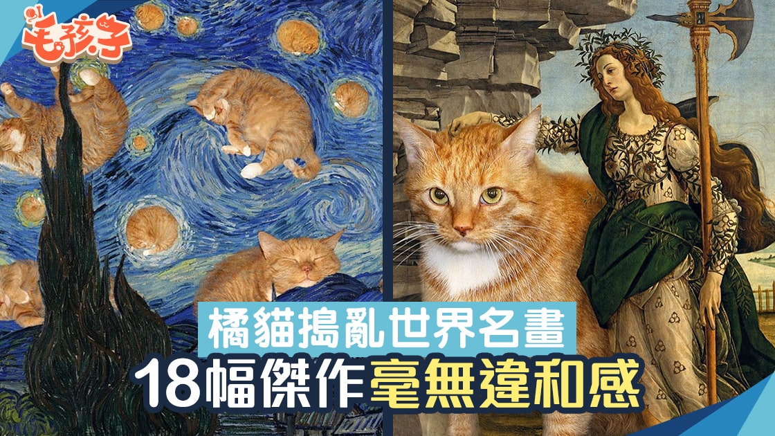 橘貓|俄羅斯肥貓亂入世界名畫 與18副創意畫作融合 毫無違和感 橘貓|俄羅斯肥貓亂入世界名畫 與18副創意畫作融合 毫無違和感
