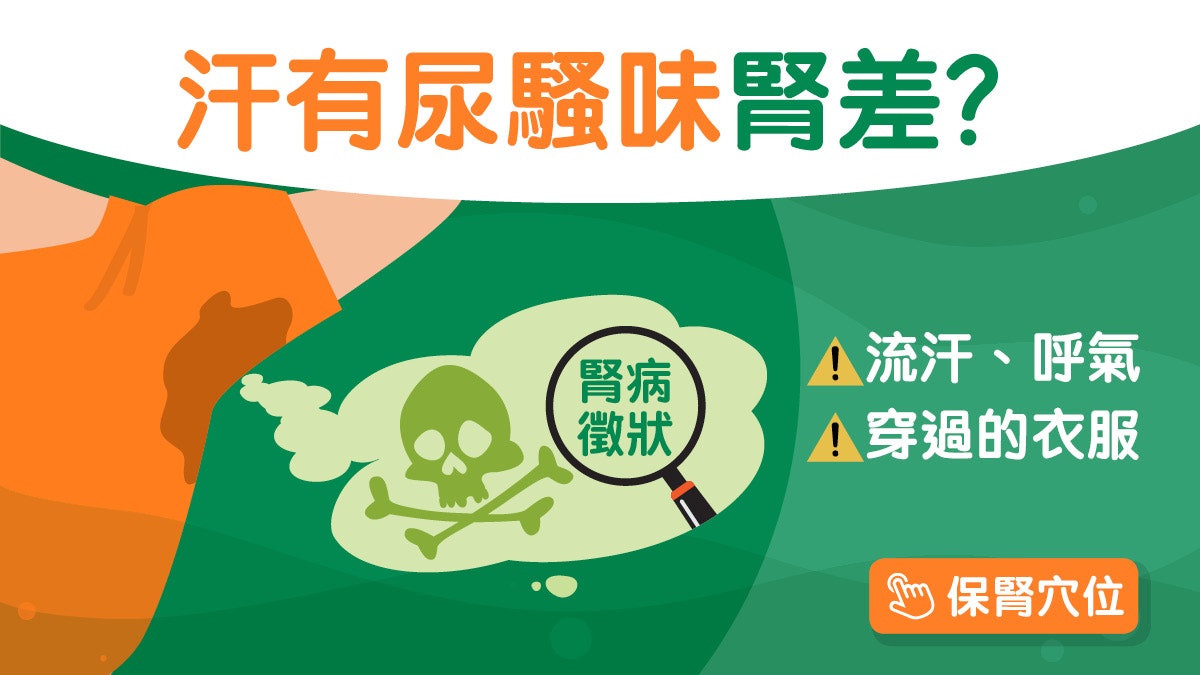 腎病|身有尿騷味以為漏尿確診慢性腎病5期!按黃金3穴位+1招強腎 腎病|身有尿騷味以為漏尿確診慢性腎病5期!按黃金3穴位+1招強腎