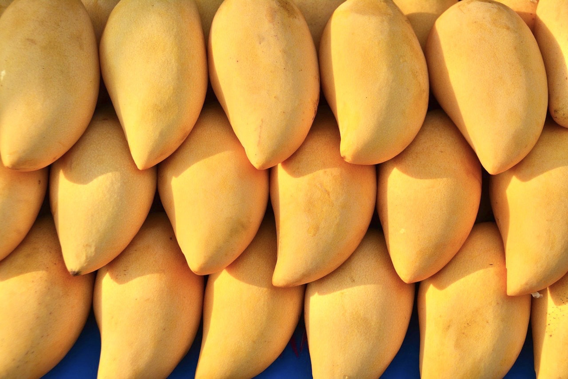 全球的芒果品種繁多，在市場上常見的較為消費者所喜愛。（圖片︰terimakasih0@Unsplash）