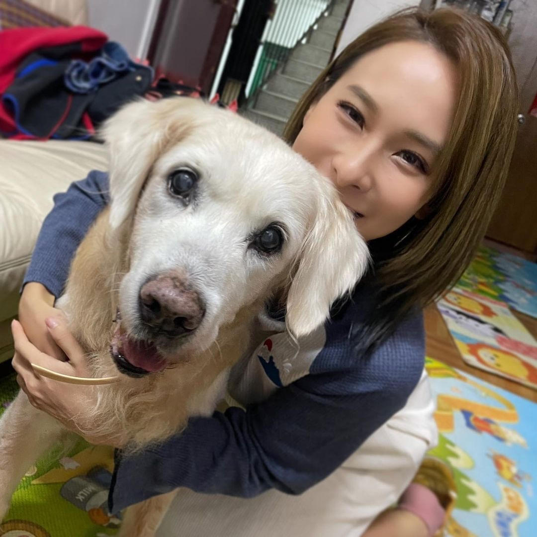 東張西望 李旻芳金毛患癌剩兩個月命花700萬買樓給牠過餘生 香港01 寵物 東張西望 李旻芳金毛患癌剩兩個月命花700萬買樓給牠過餘生 香港01 寵物