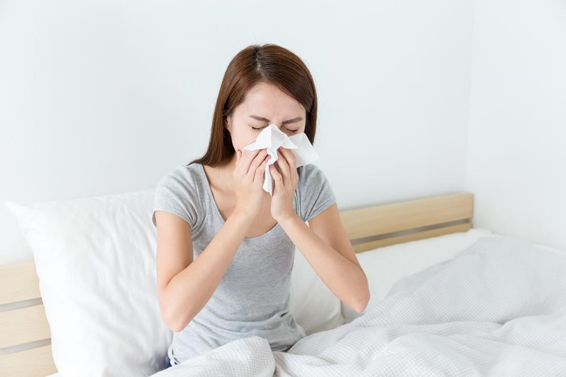 塵蟎喜歡溫暖潮濕的環境,故大多會依附在床褥、枕頭、床單、軟墊及地毯上。(圖片:Thaihealth) 塵蟎喜歡溫暖潮濕的環境,故大多會依附在床褥、枕頭、床單、軟墊及地毯上。(圖片:Thaihealth)