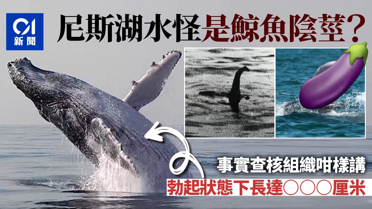 尼斯湖水怪 專家論文指是鯨魚陰莖 事實查核組織 不是 香港01 環球趣聞 尼斯湖水怪 專家論文指是鯨魚陰莖 事實查核組織 不是 香港01 環球趣聞