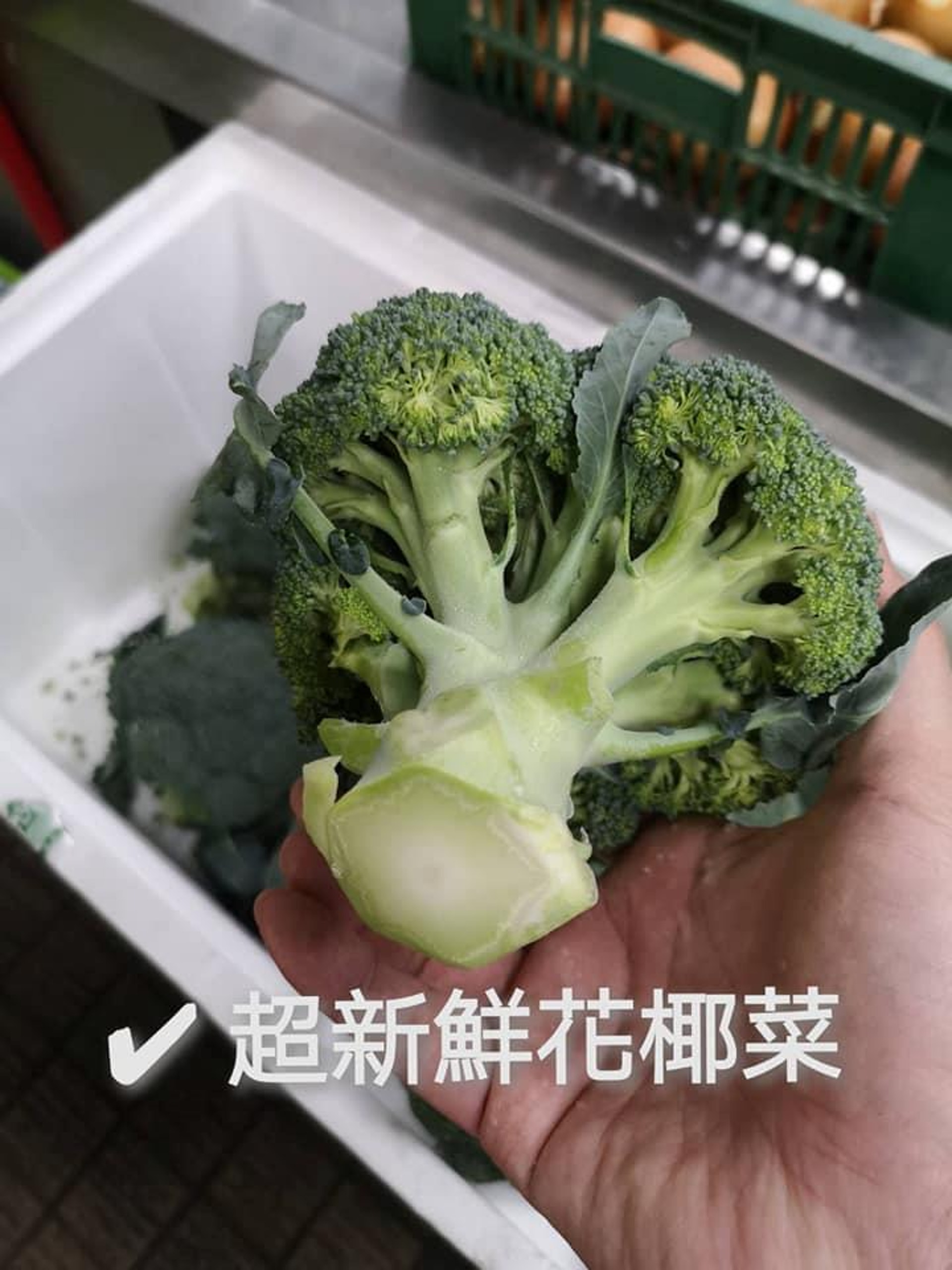 揀蔬菜貼士 西蘭花挑選3大原則莖底有窿唔要得 清洗切忌放鹽 揀蔬菜貼士 西蘭花挑選3大原則莖底有窿唔要得 清洗切忌放鹽