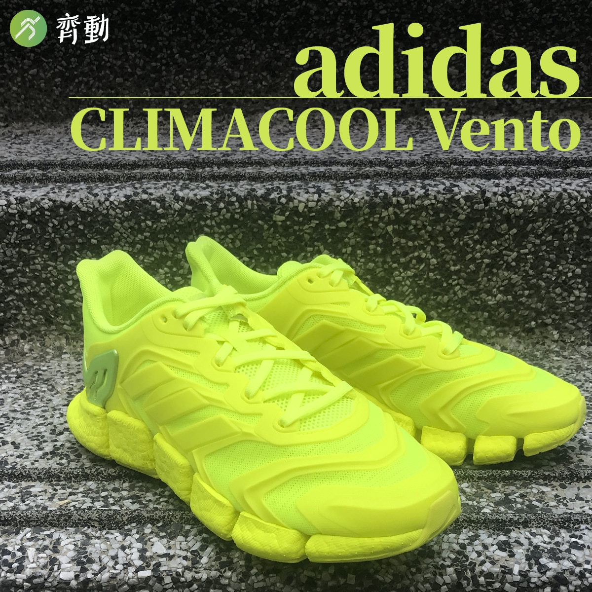 climacool vento 4d