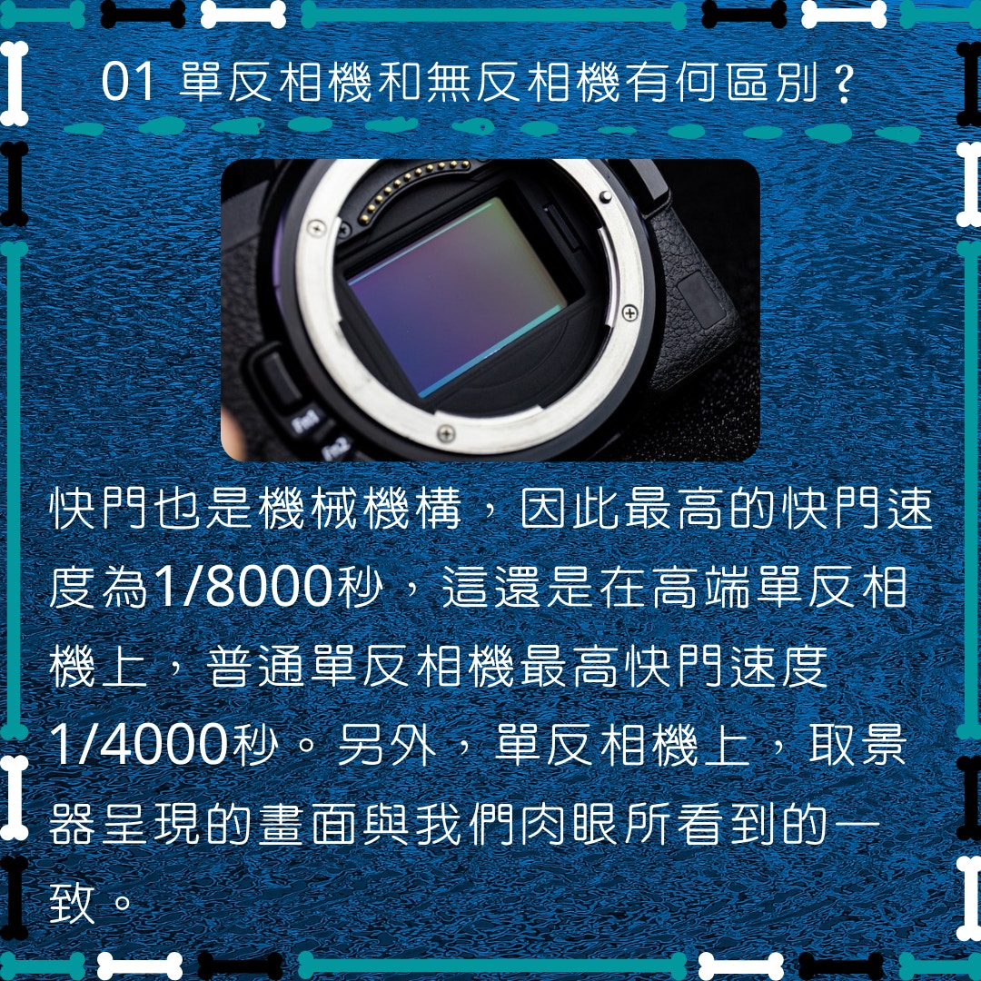 買相機選擇單反還是微單相機? （01製圖/中關村在線授權使用）