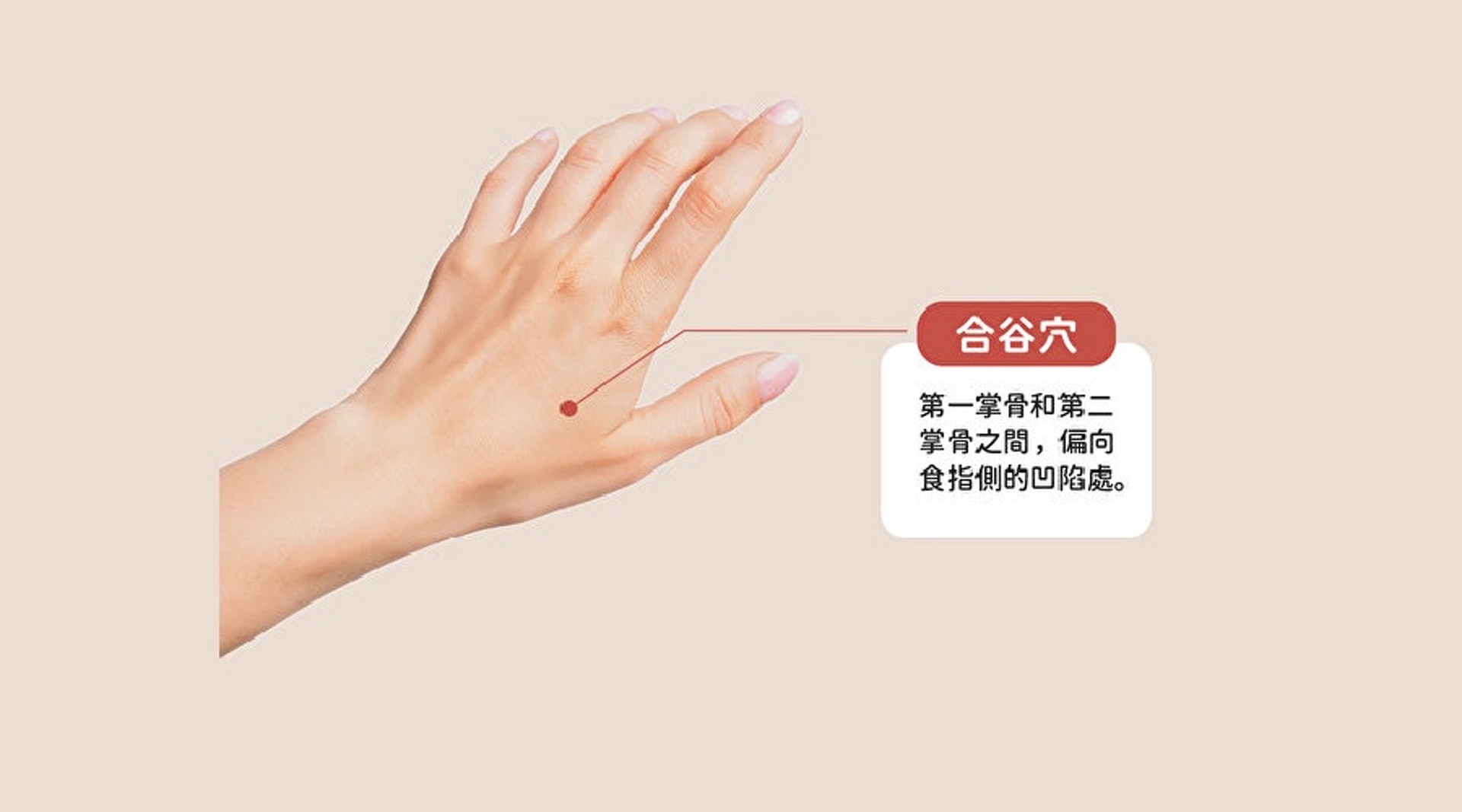 「合谷穴」位於虎口,按壓有助緩解濕氣造成的頭痛及精神不濟,同時有清熱及通便作用。但注意合谷穴可促進子宮收縮,因此孕婦忌按。(圖片:epochtimes) 「合谷穴」位於虎口,按壓有助緩解濕氣造成的頭痛及精神不濟,同時有清熱及通便作用。但注意合谷穴可促進子宮收縮,因此孕婦忌按。(圖片:epochtimes)