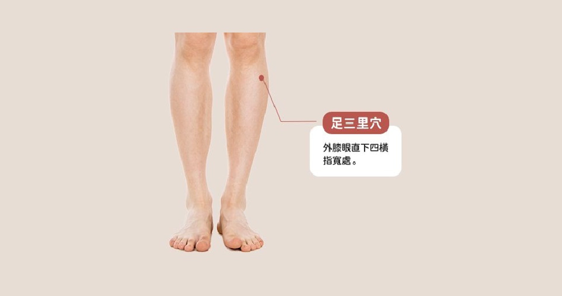 「足三里穴」位於外膝眼下三寸,約四橫指距離的凹溝處,按壓有助增強脾胃的消化功能,從而改善食慾。而且它具有健脾和胃、扶正培元的功效,常按有保健養生作用。(圖片:epochtimes) 「足三里穴」位於外膝眼下三寸,約四橫指距離的凹溝處,按壓有助增強脾胃的消化功能,從而改善食慾。而且它具有健脾和胃、扶正培元的功效,常按有保健養生作用。(圖片:epochtimes)