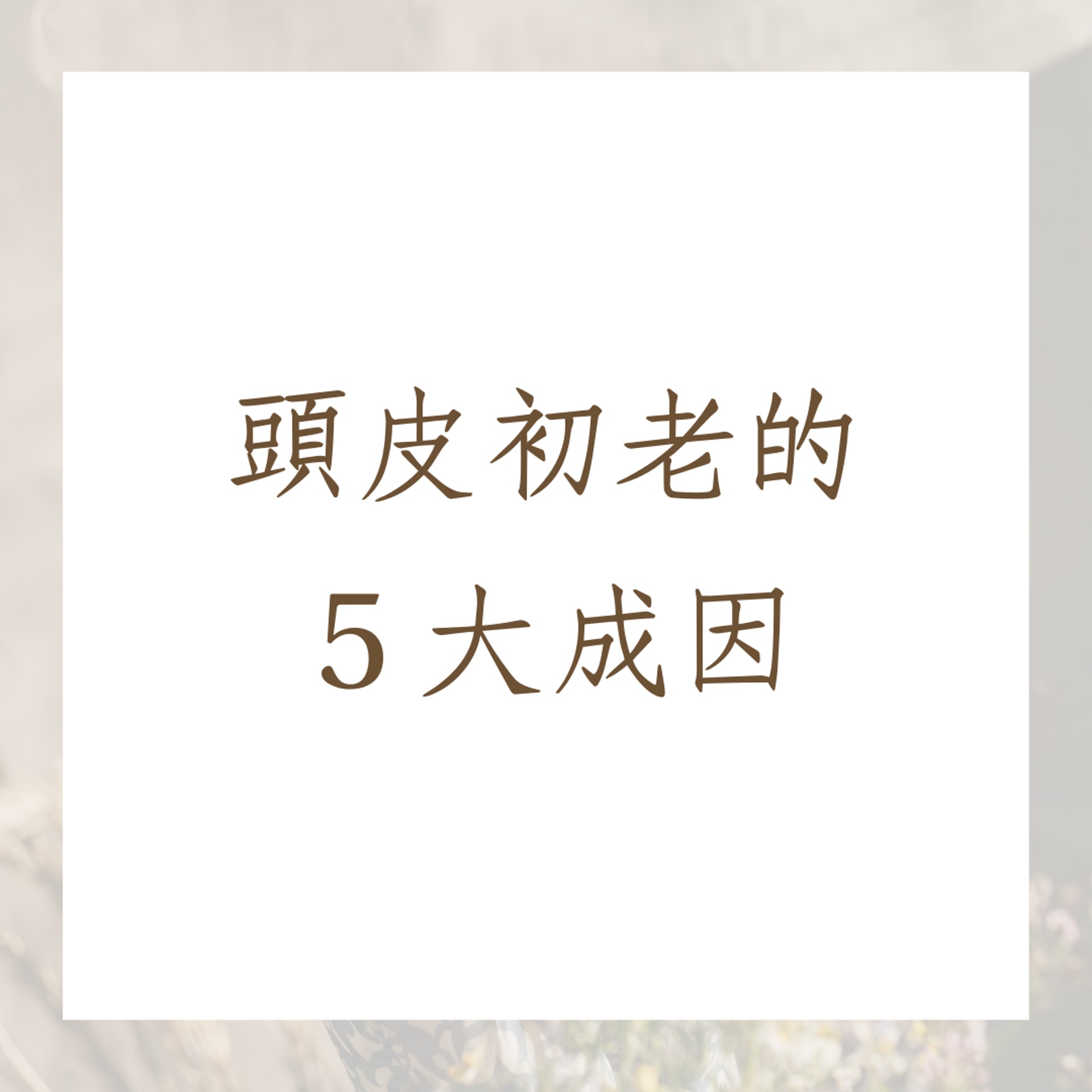 頭皮初老的5大成因(01製圖) 頭皮初老的5大成因(01製圖)