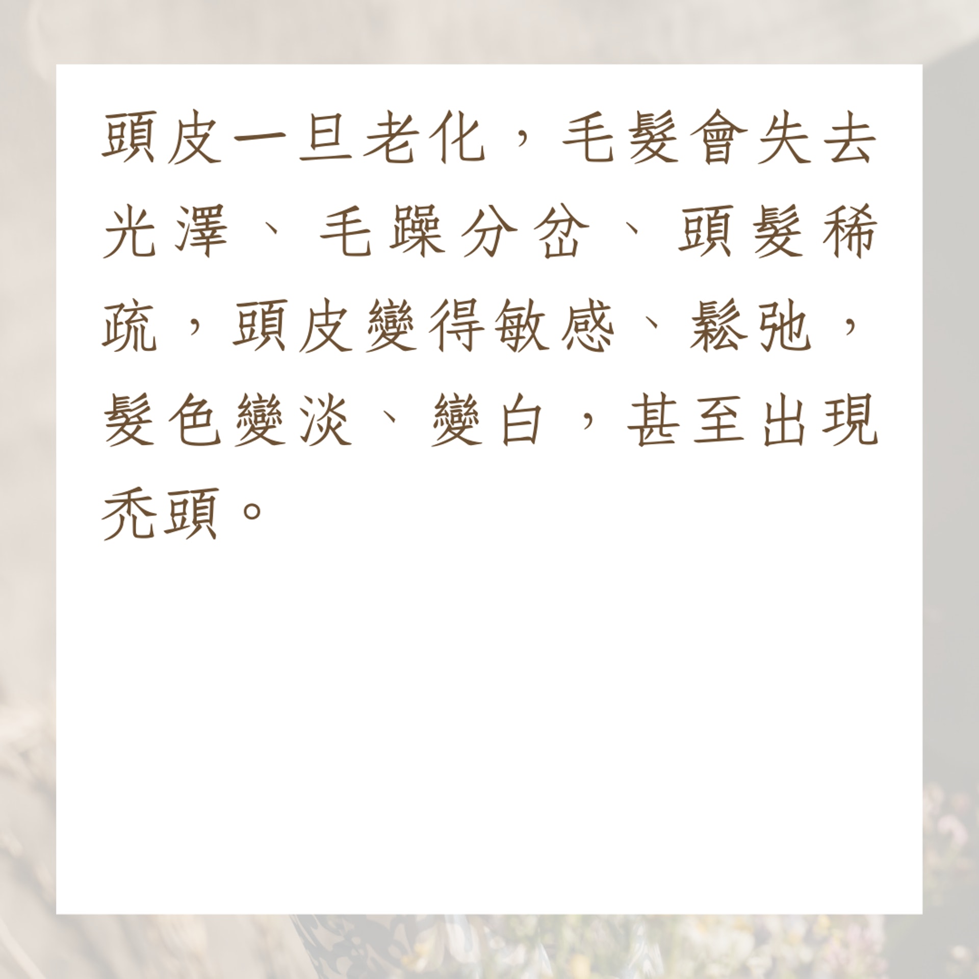 頭皮初老的5大成因(01製圖) 頭皮初老的5大成因(01製圖)