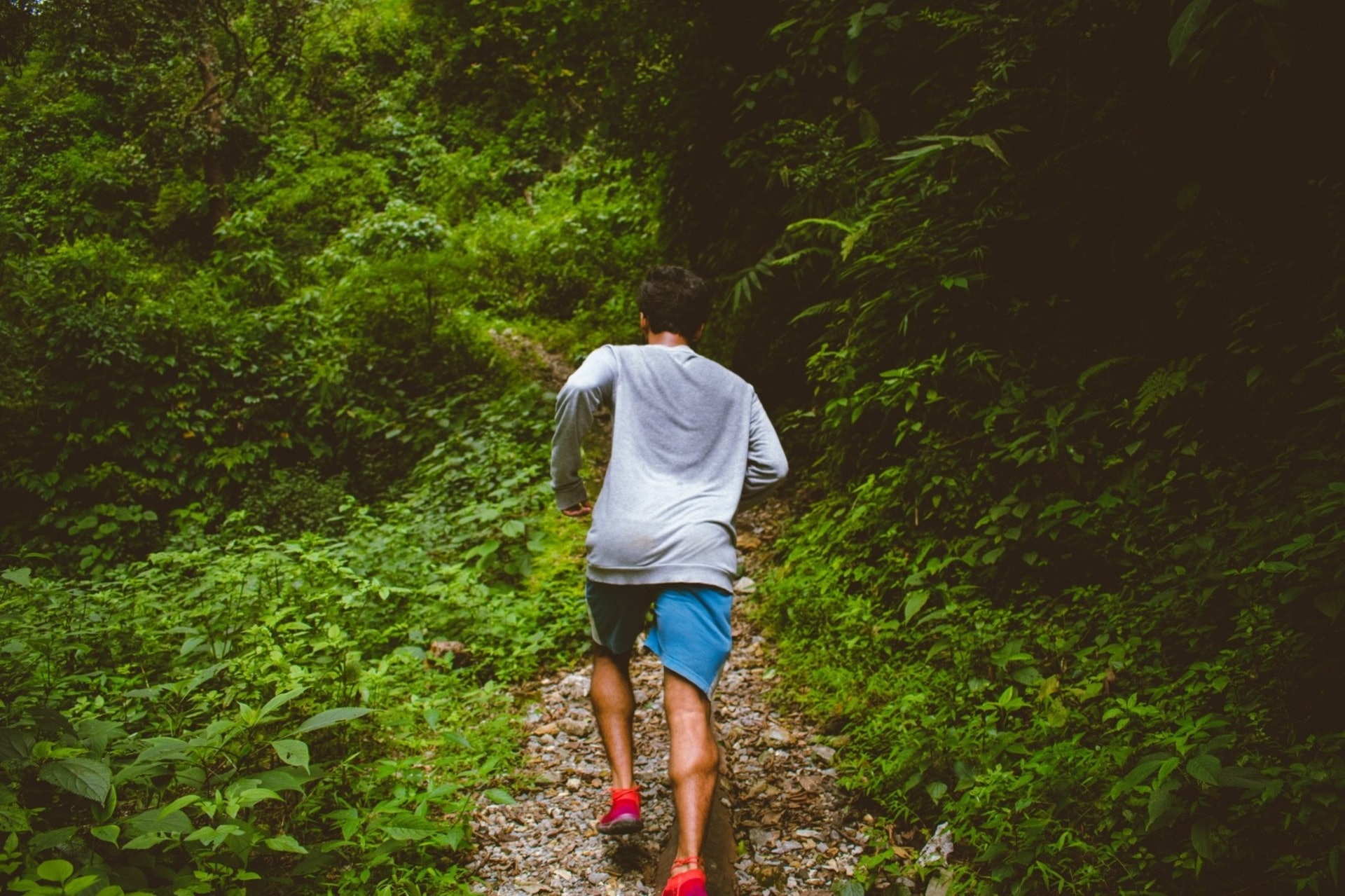 水、茶以及牛奶3種飲品，你行山的時候又會帶上哪一種？（unsplash@Shashank Shekhar）