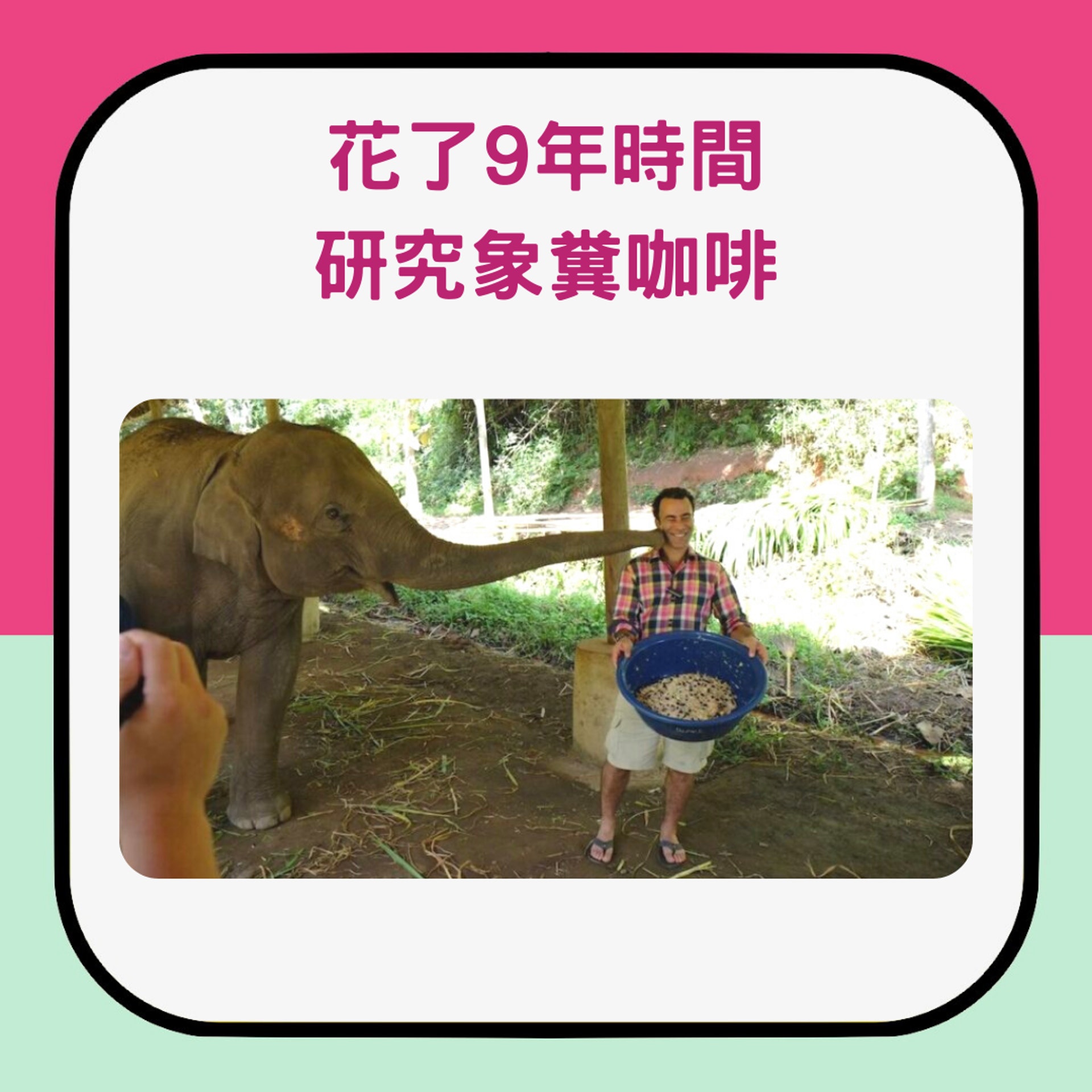 象糞咖啡介紹(01製圖/Facebook@Black Ivory Coffee) 象糞咖啡介紹(01製圖/Facebook@Black Ivory Coffee)