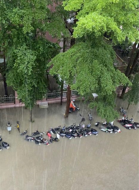 台灣淹水 台男路邊撈巨魚問 可以養嗎 網民急制止 超噁心